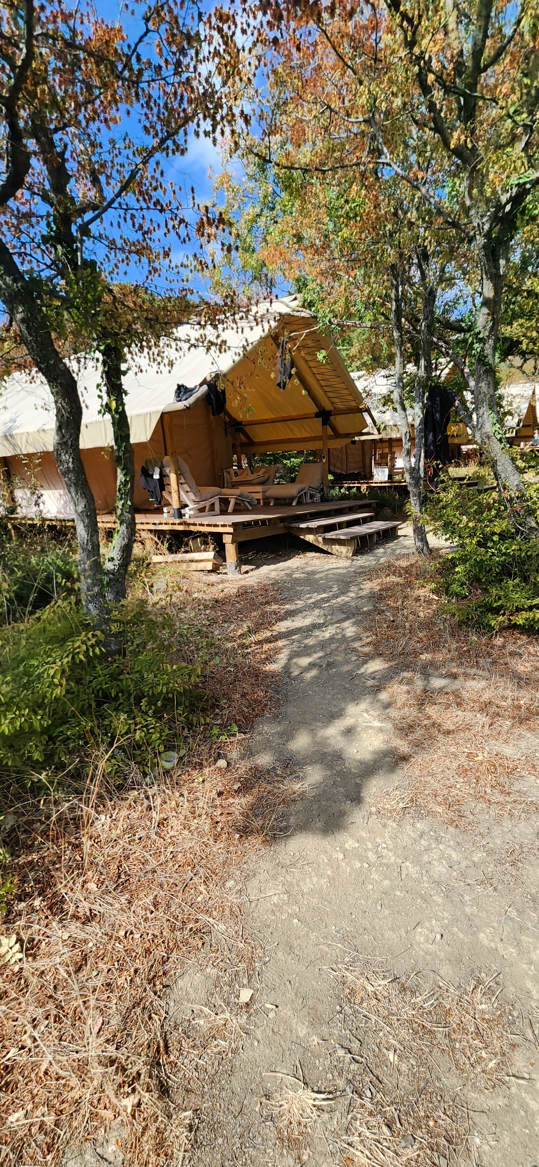 Фото Звезда