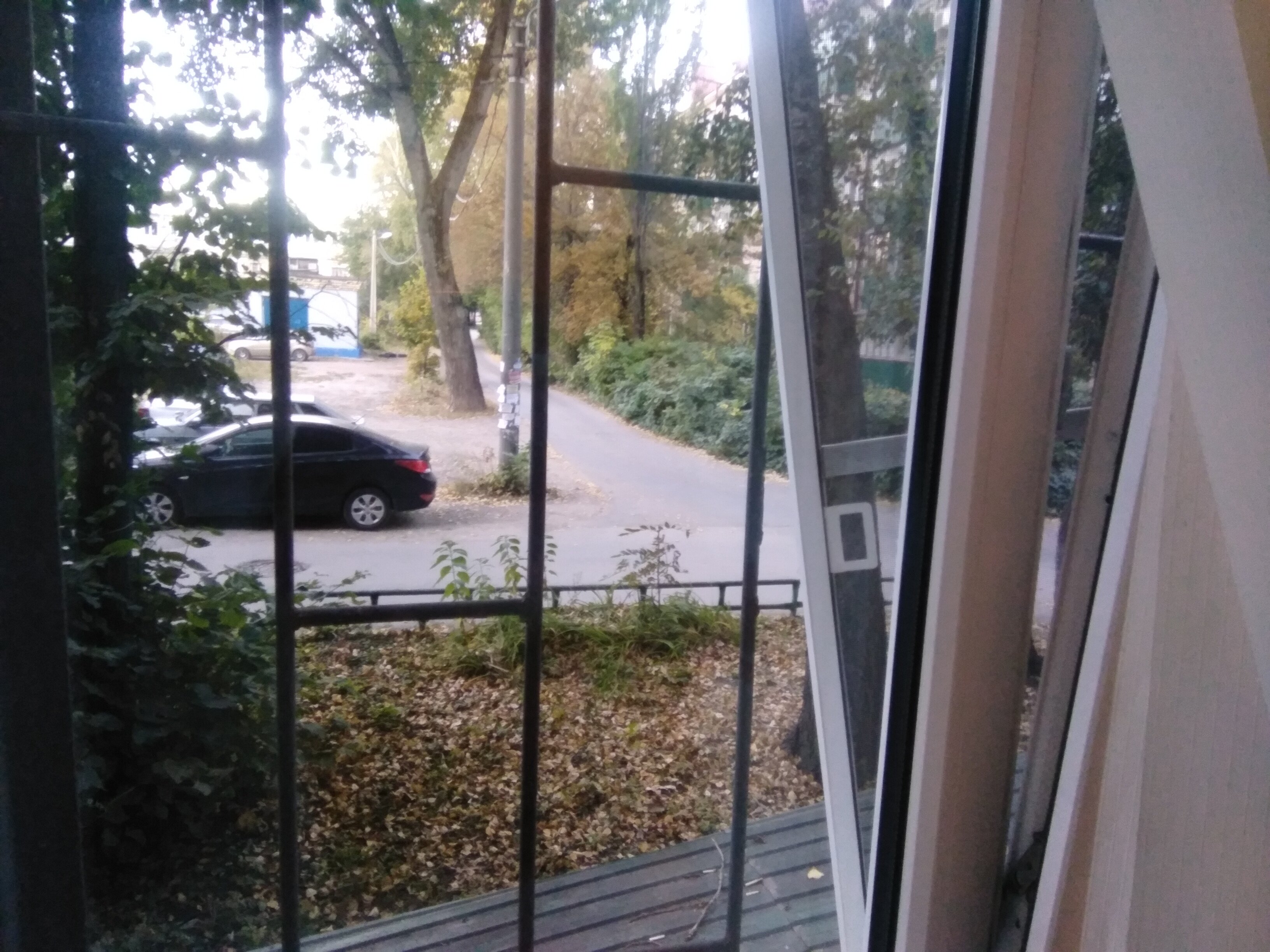 Фото Палермо