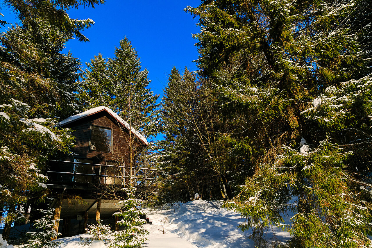 Фото Опушка