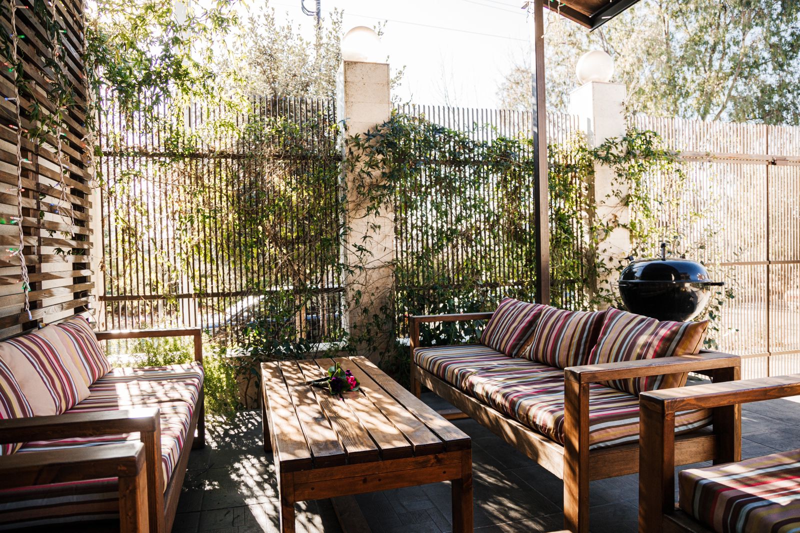 Фото Сафино Сириус