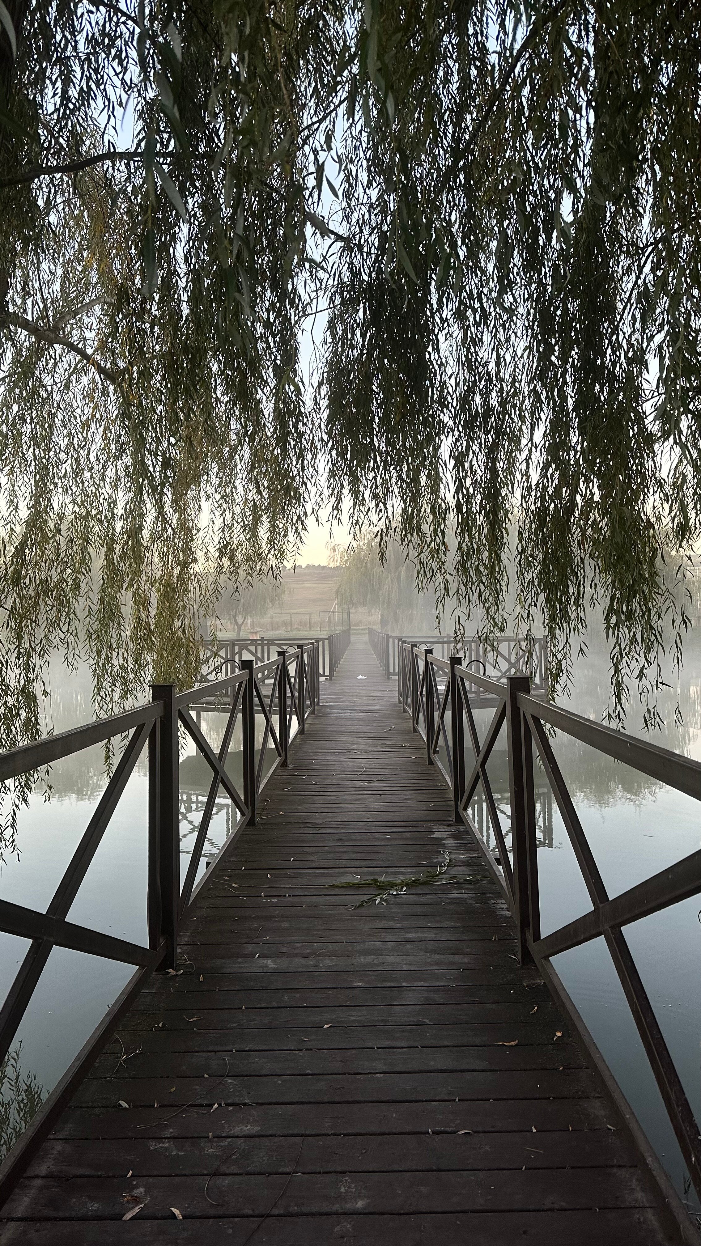 Фото Драгунская застава