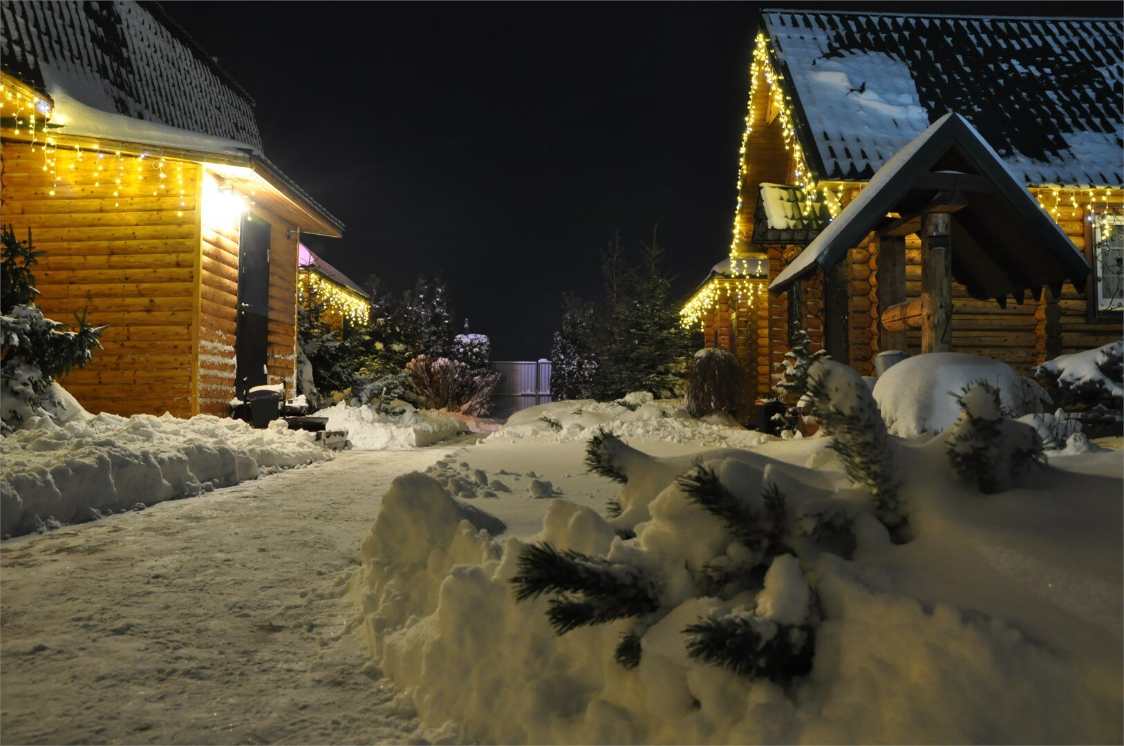 Фото Лукоморье