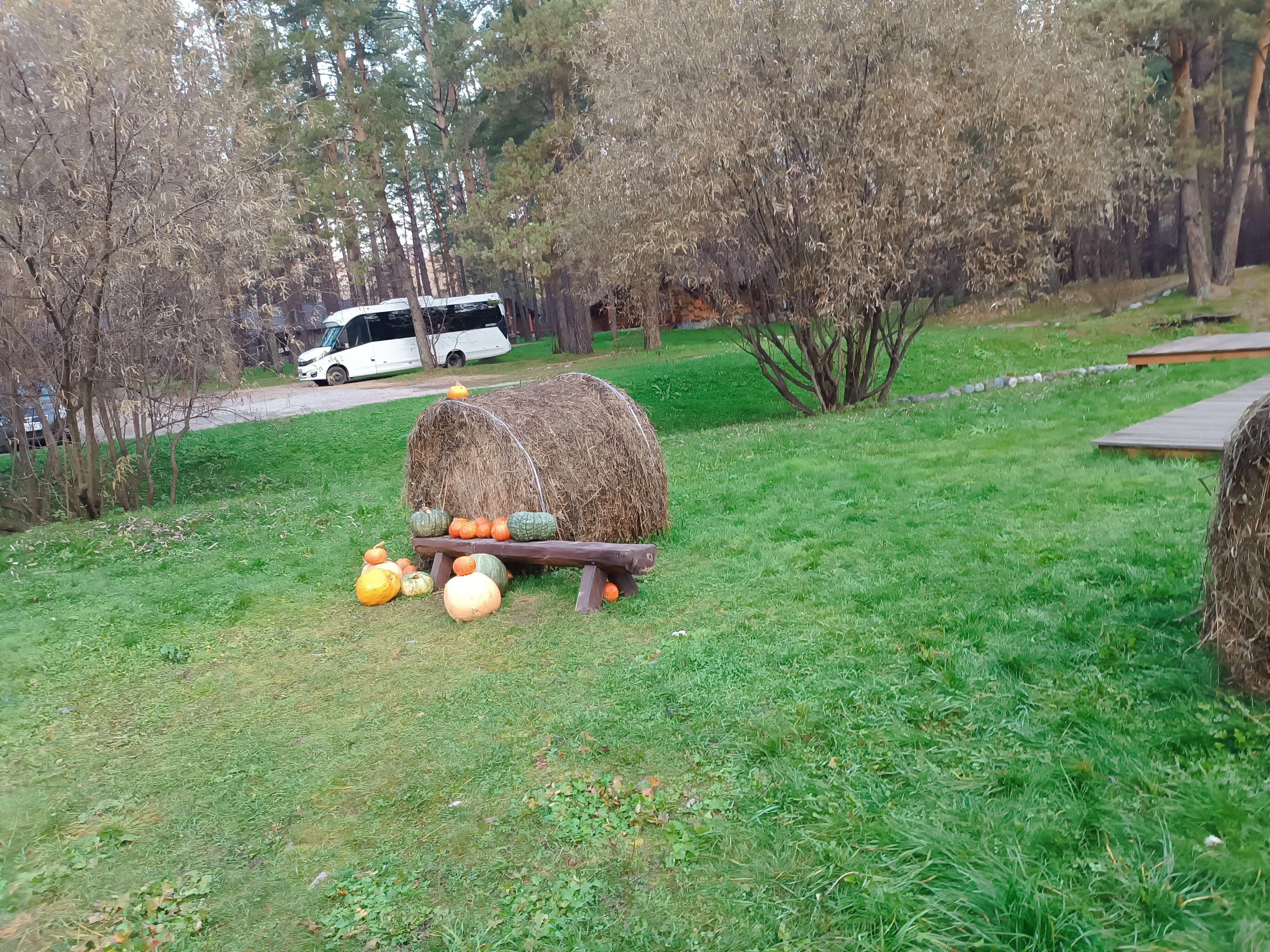 Фото Деревня Берендеевка