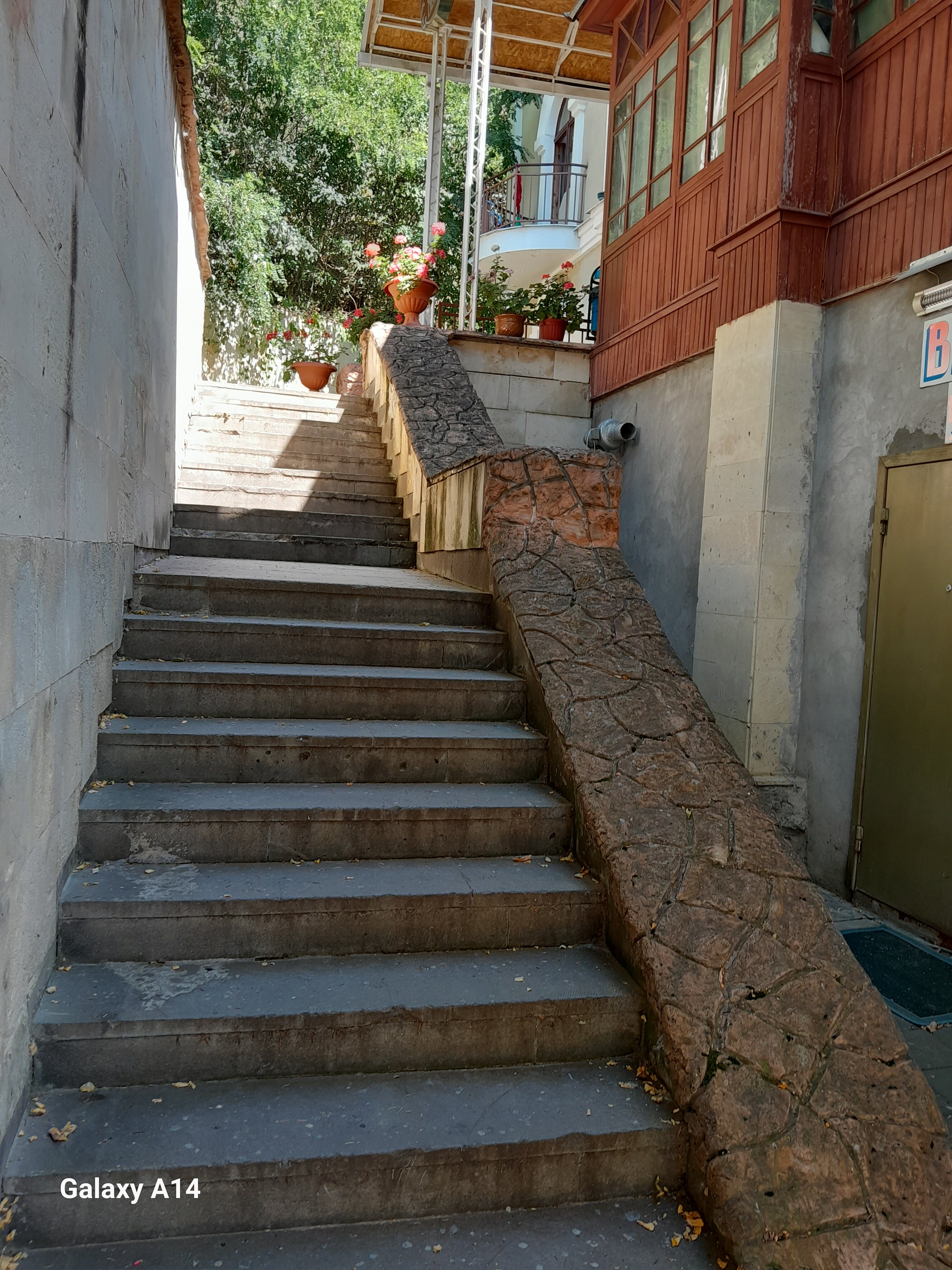 Фото Орлиное гнездо