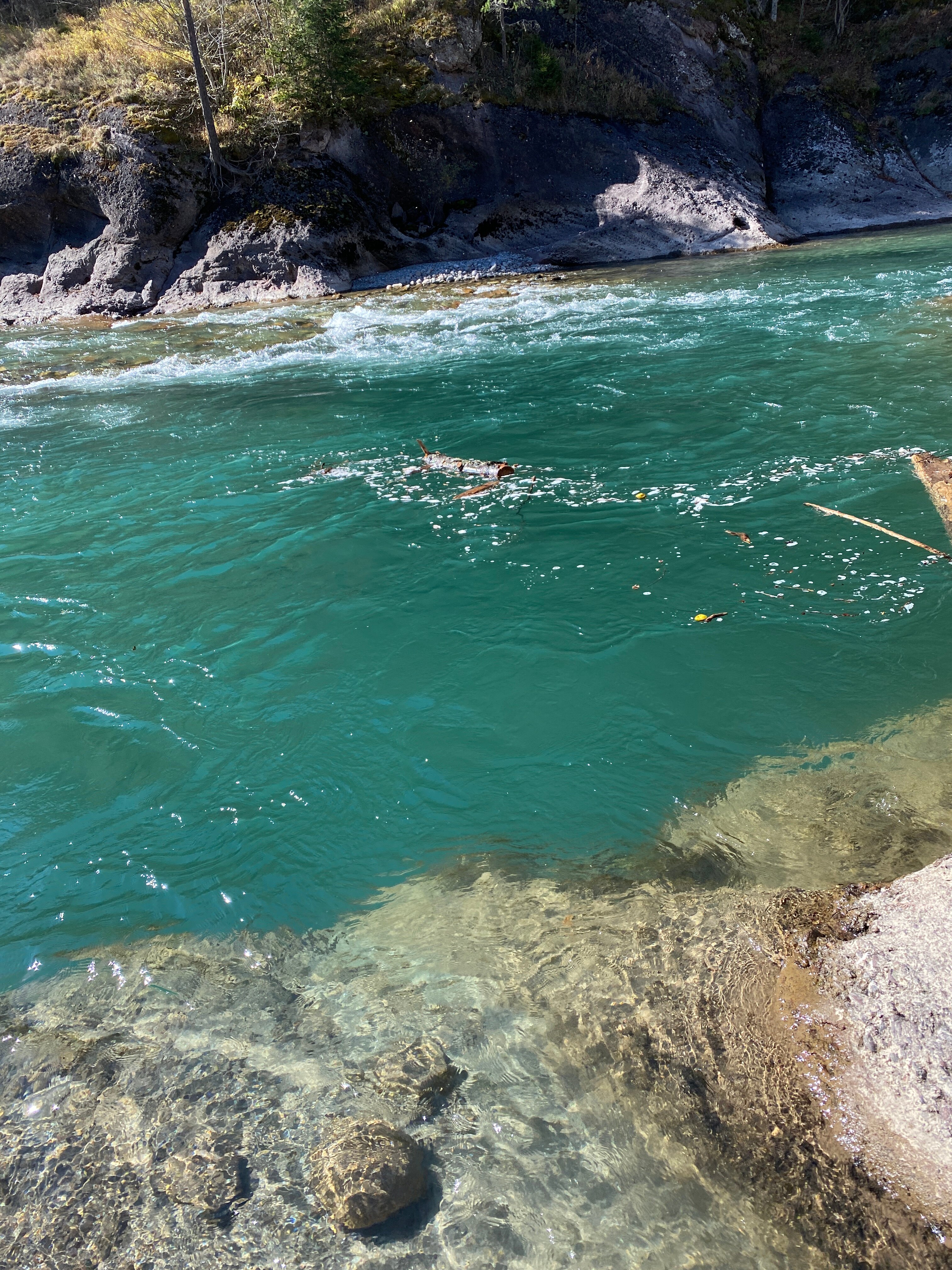 Фото Комбат