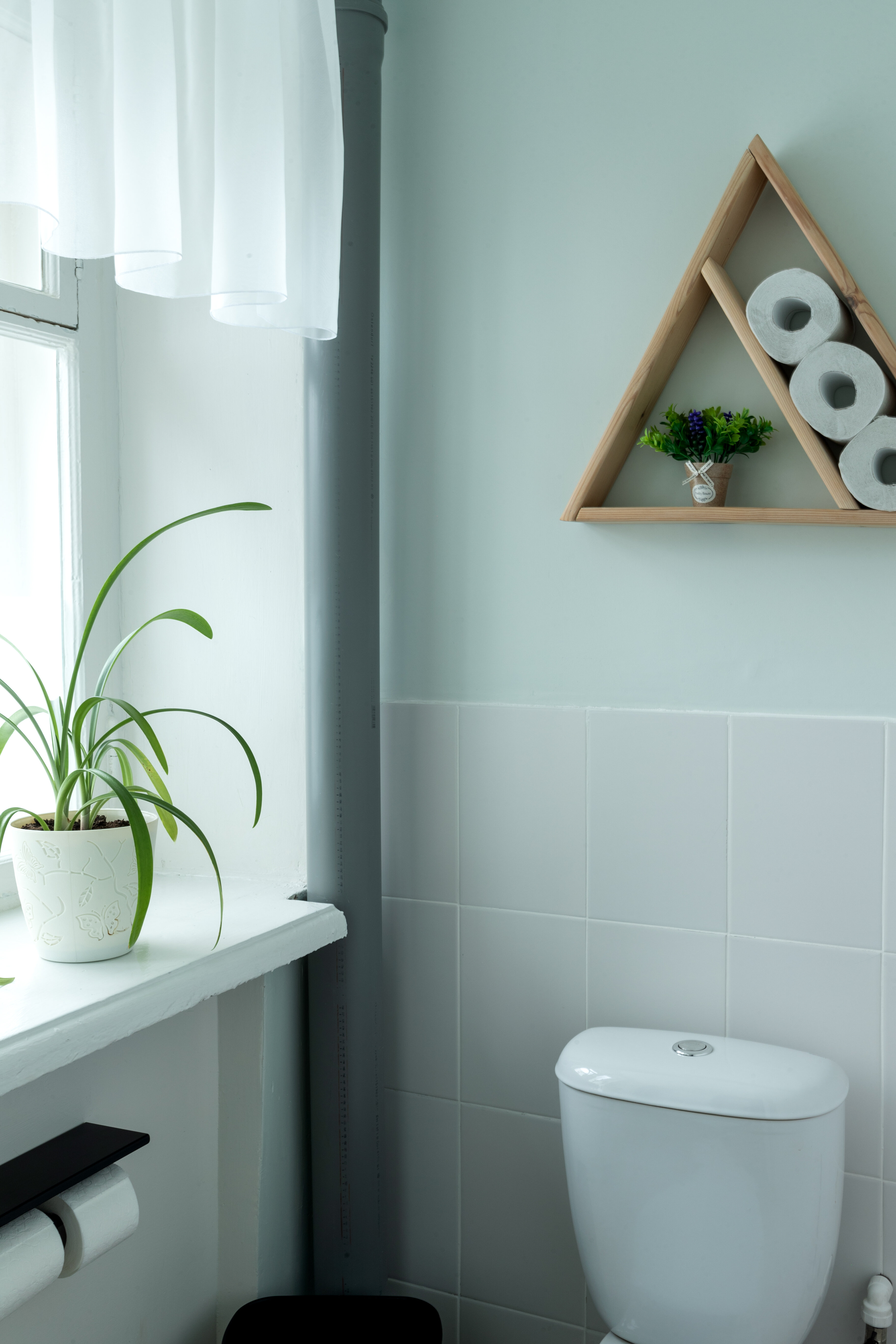 Фото Лопарочка