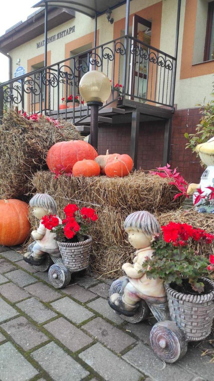 Фото Робертина