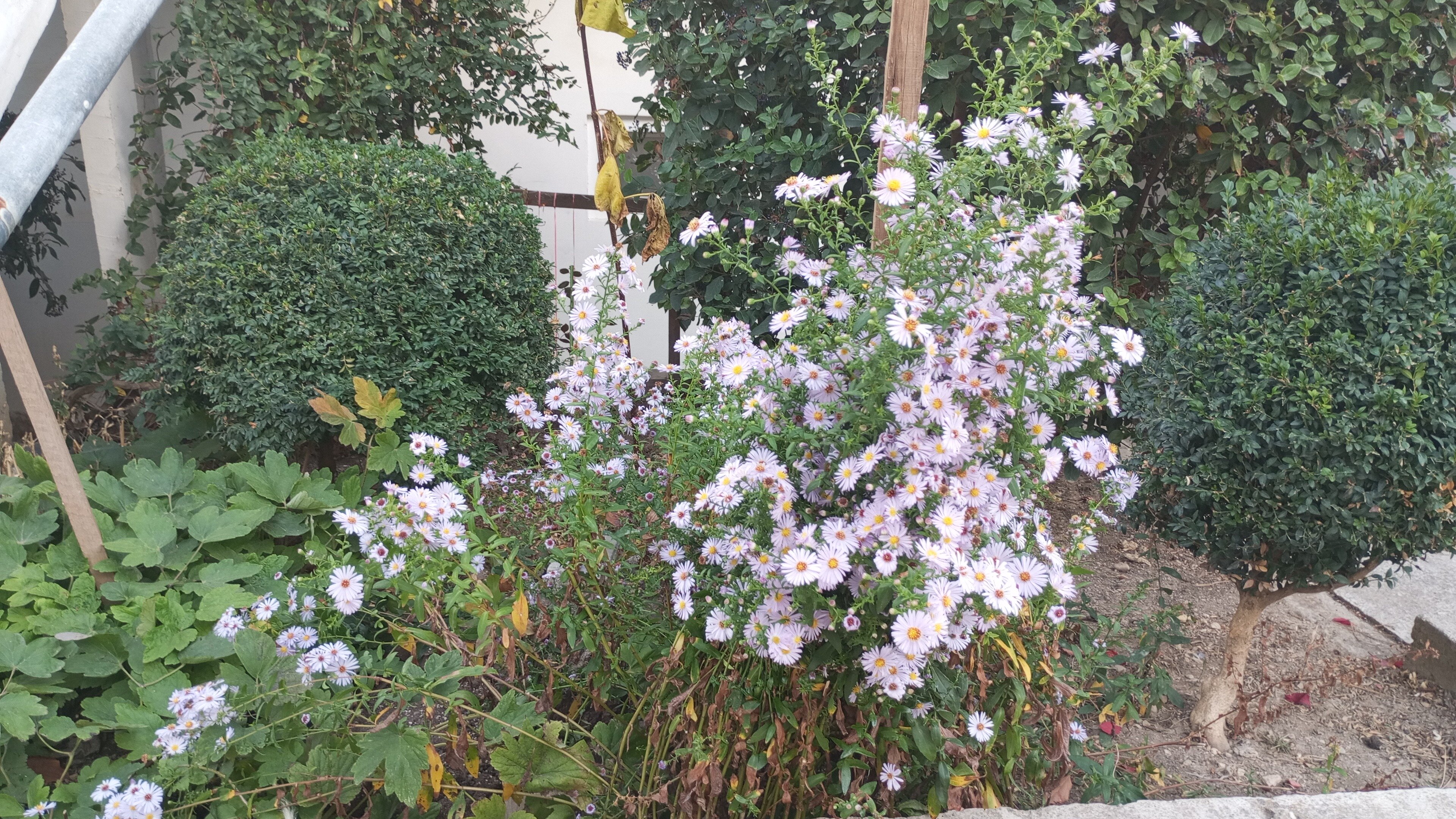 Фото Любоморье