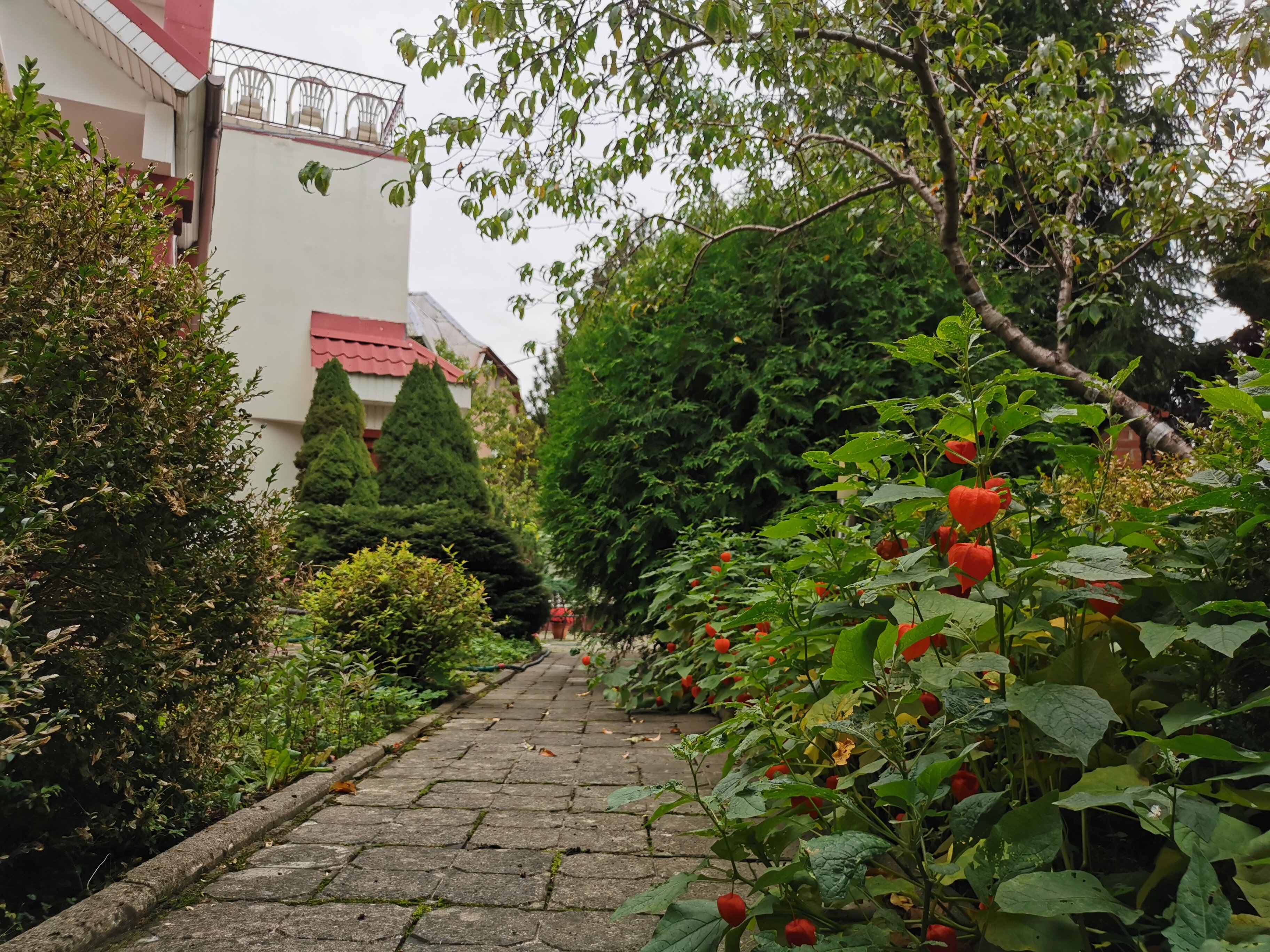 Фото Вилла Северин