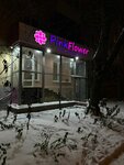 Pink flower (Vtorchermet Urban Housing District, Ferganskaya Street, 2/48), floristeria