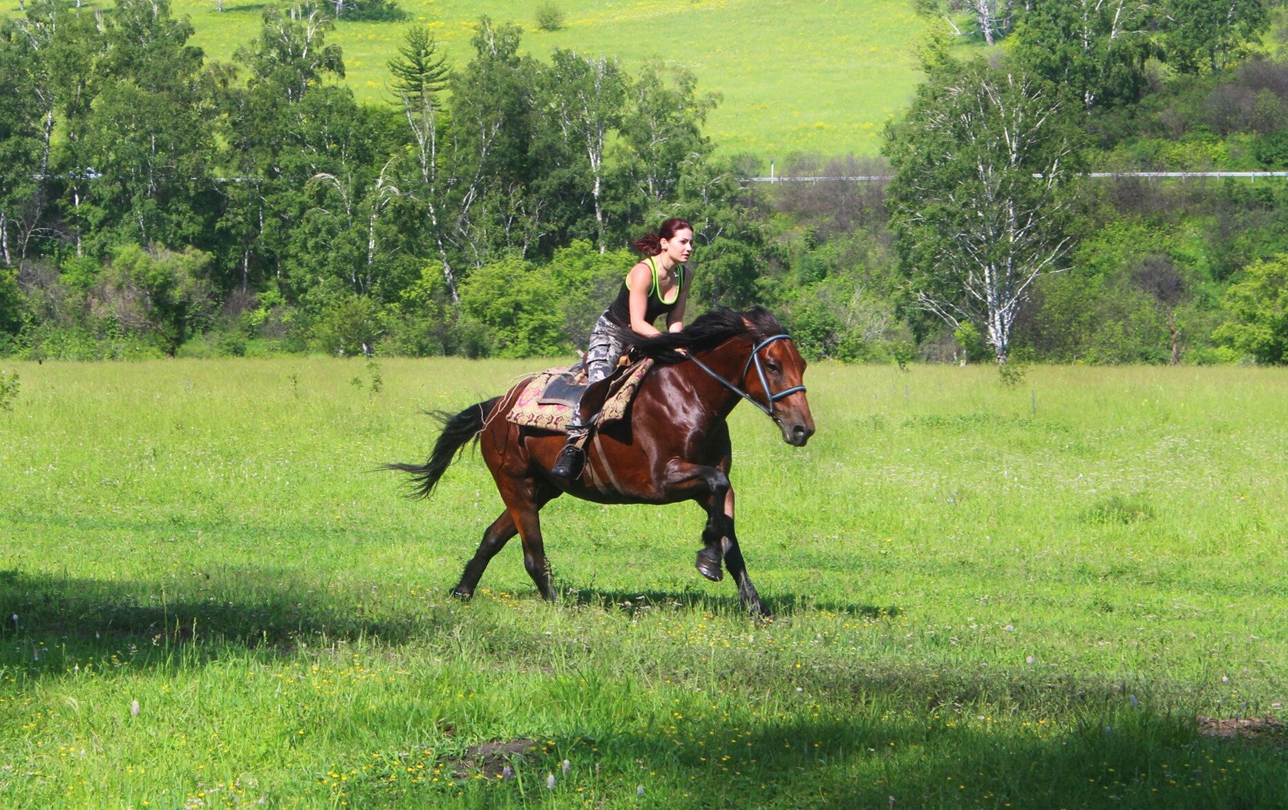 Фото Чедоев привал