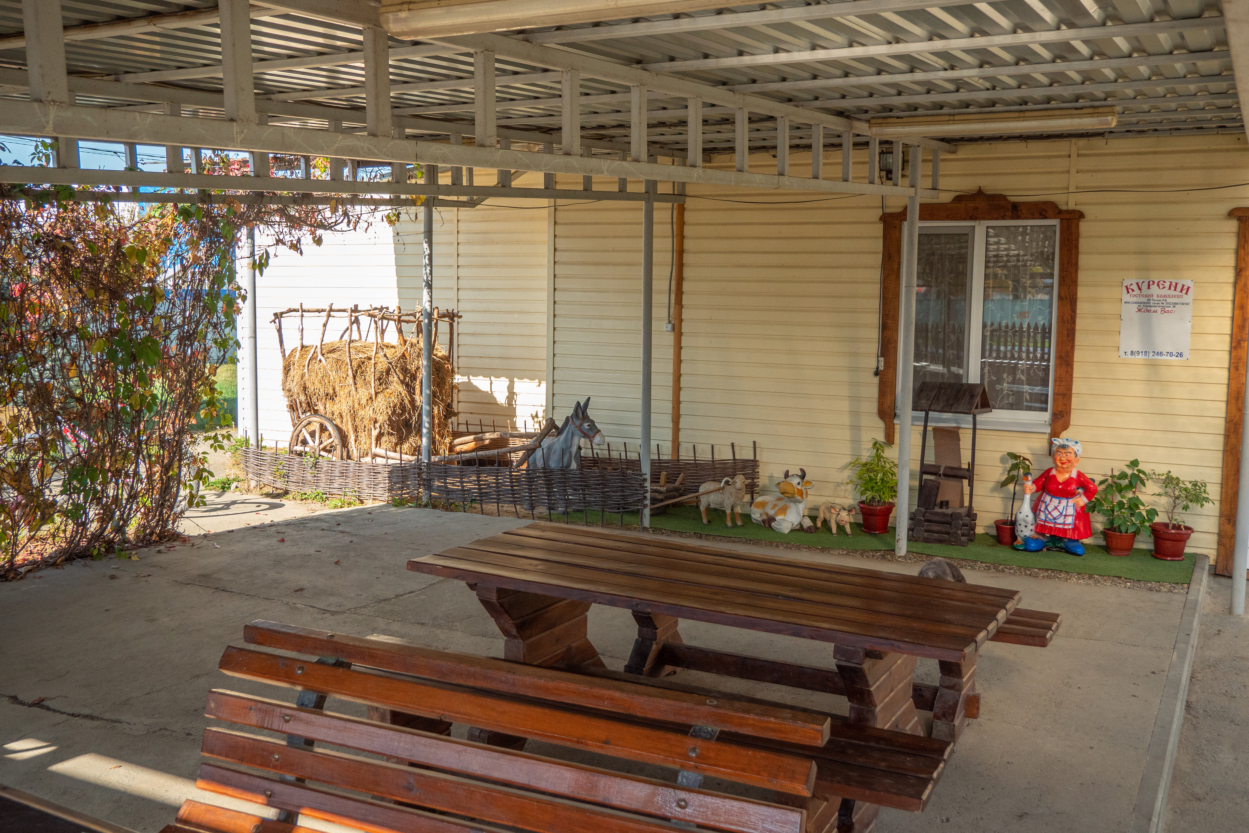 Фото Курени