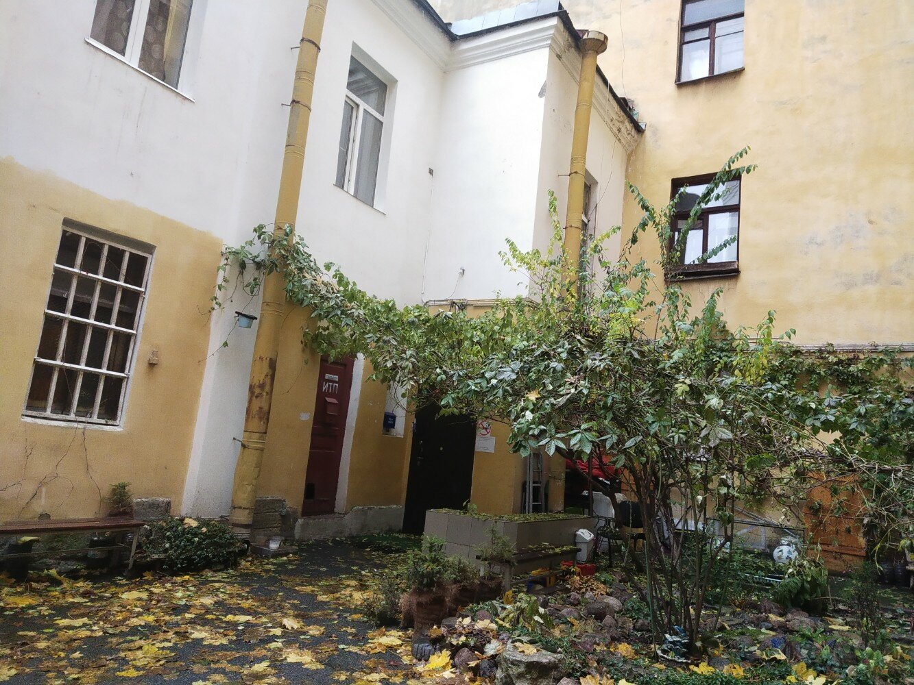 Фото Питерский дворик