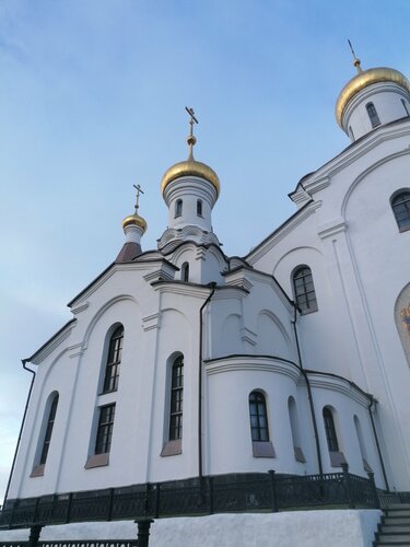 Православный храм Кафедральный собор Вознесения Христова, Мончегорск, фото