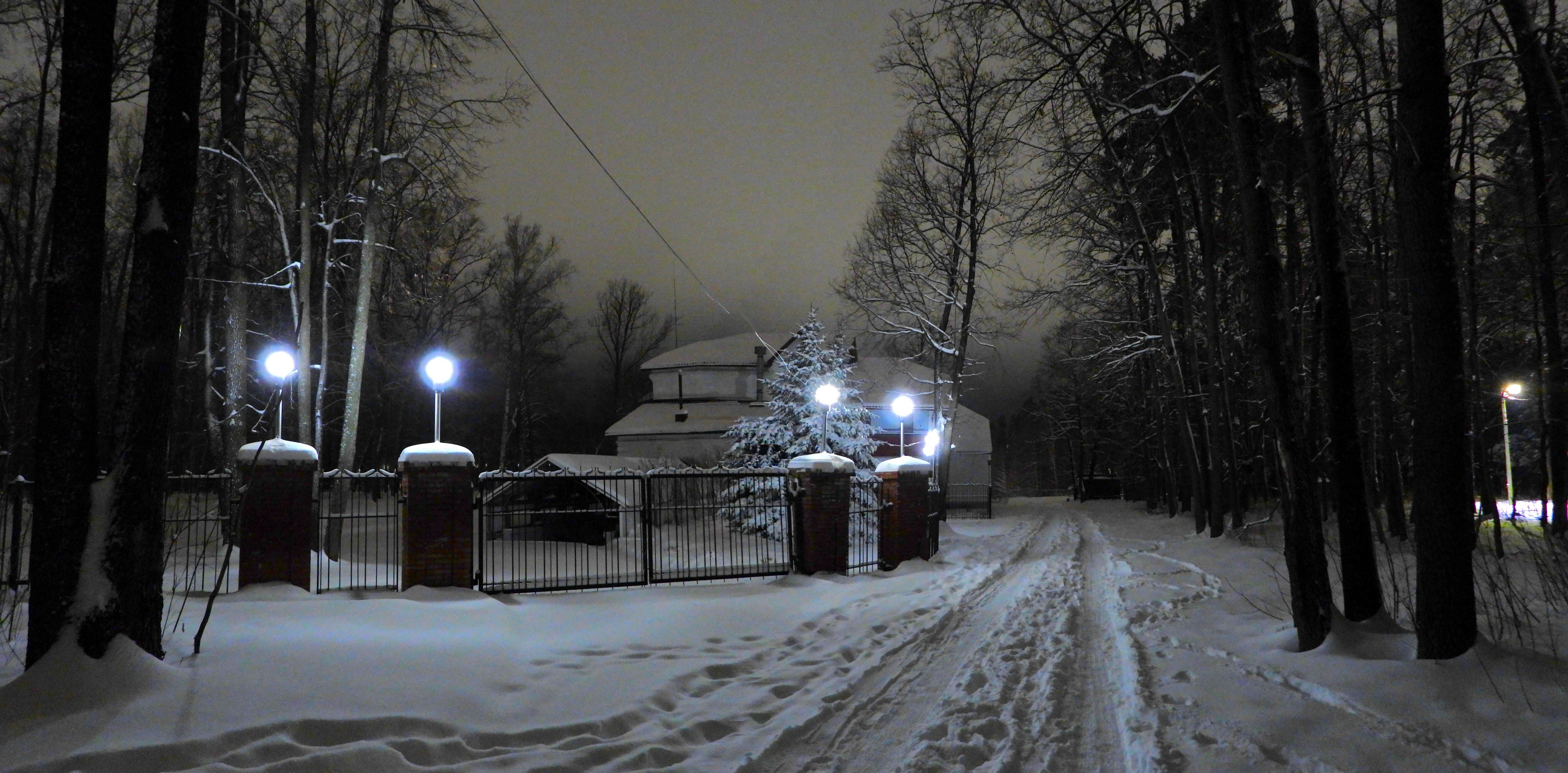 Фото Лесная