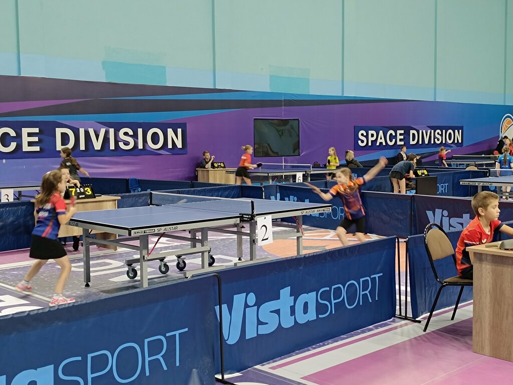 جمعية رياضية SDYuSShOR po khudozhestvennoy gimnastike ، ، صورة
