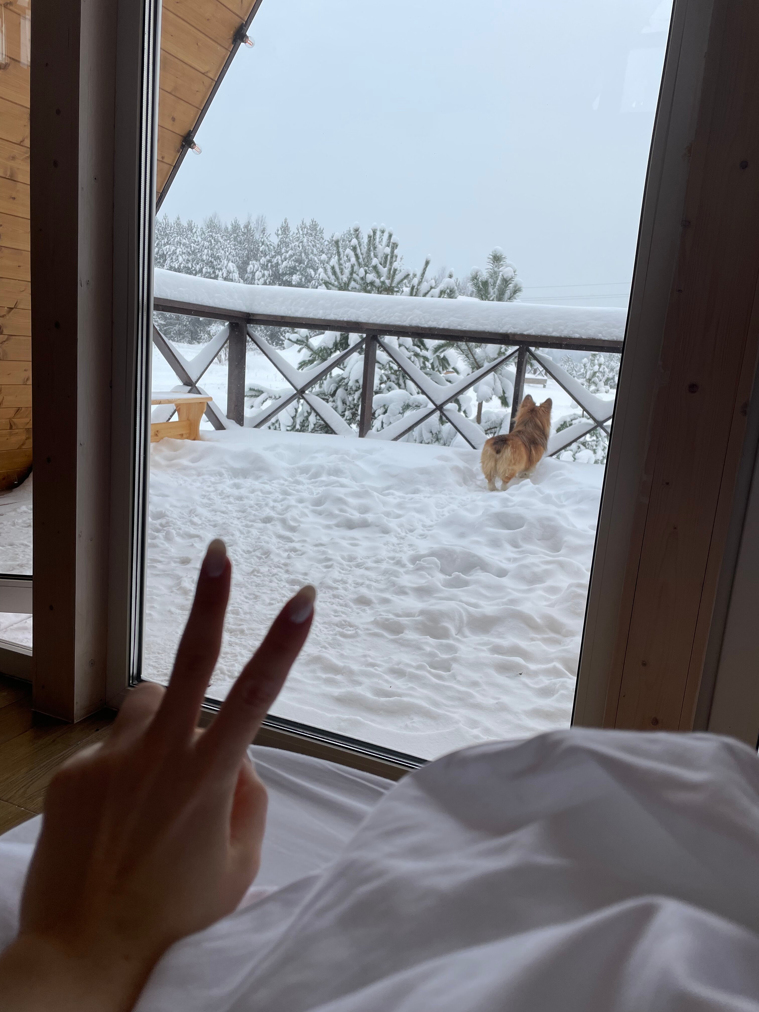 Фото Глэмпинг Тверской-Ямской