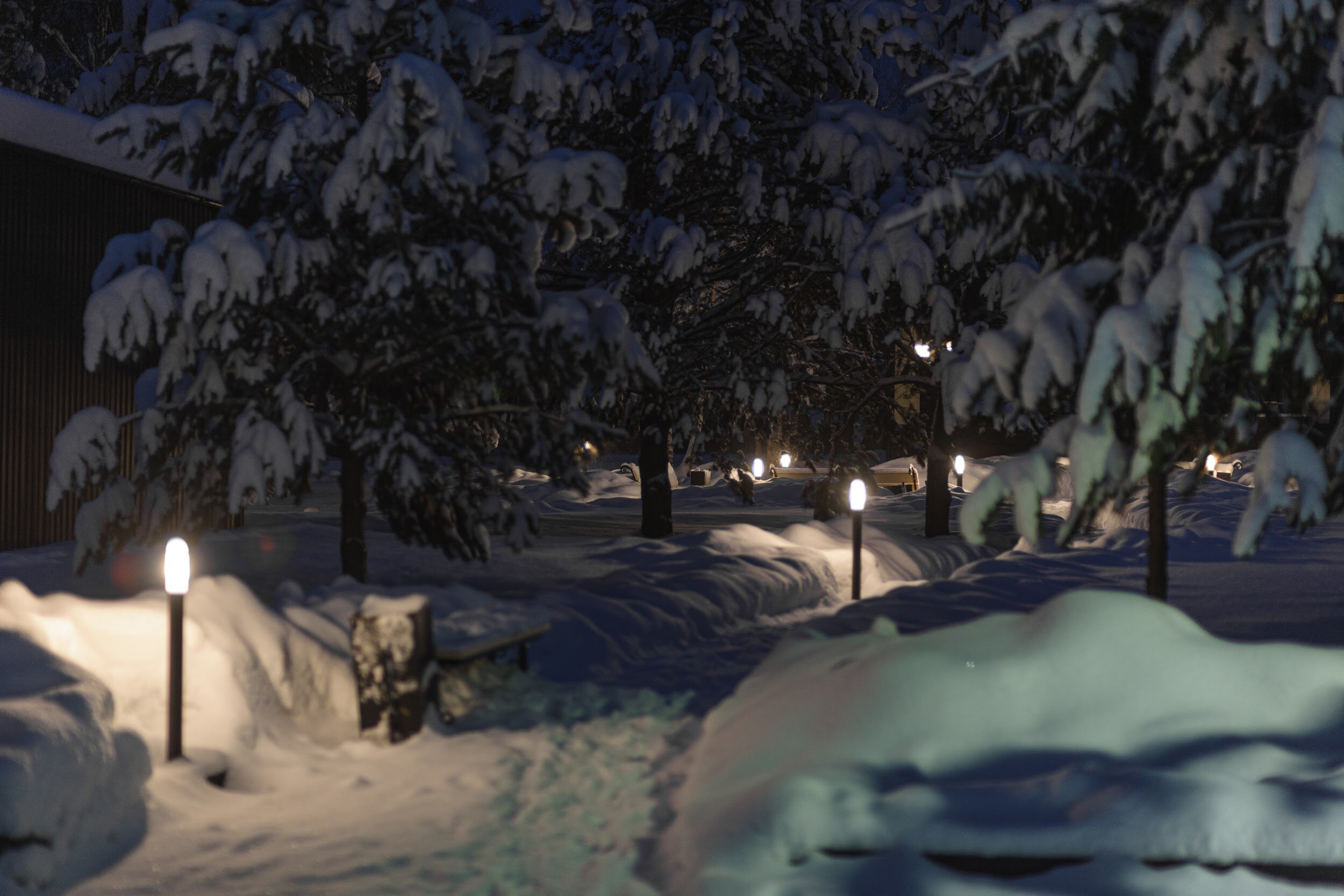 Фото Заповедное