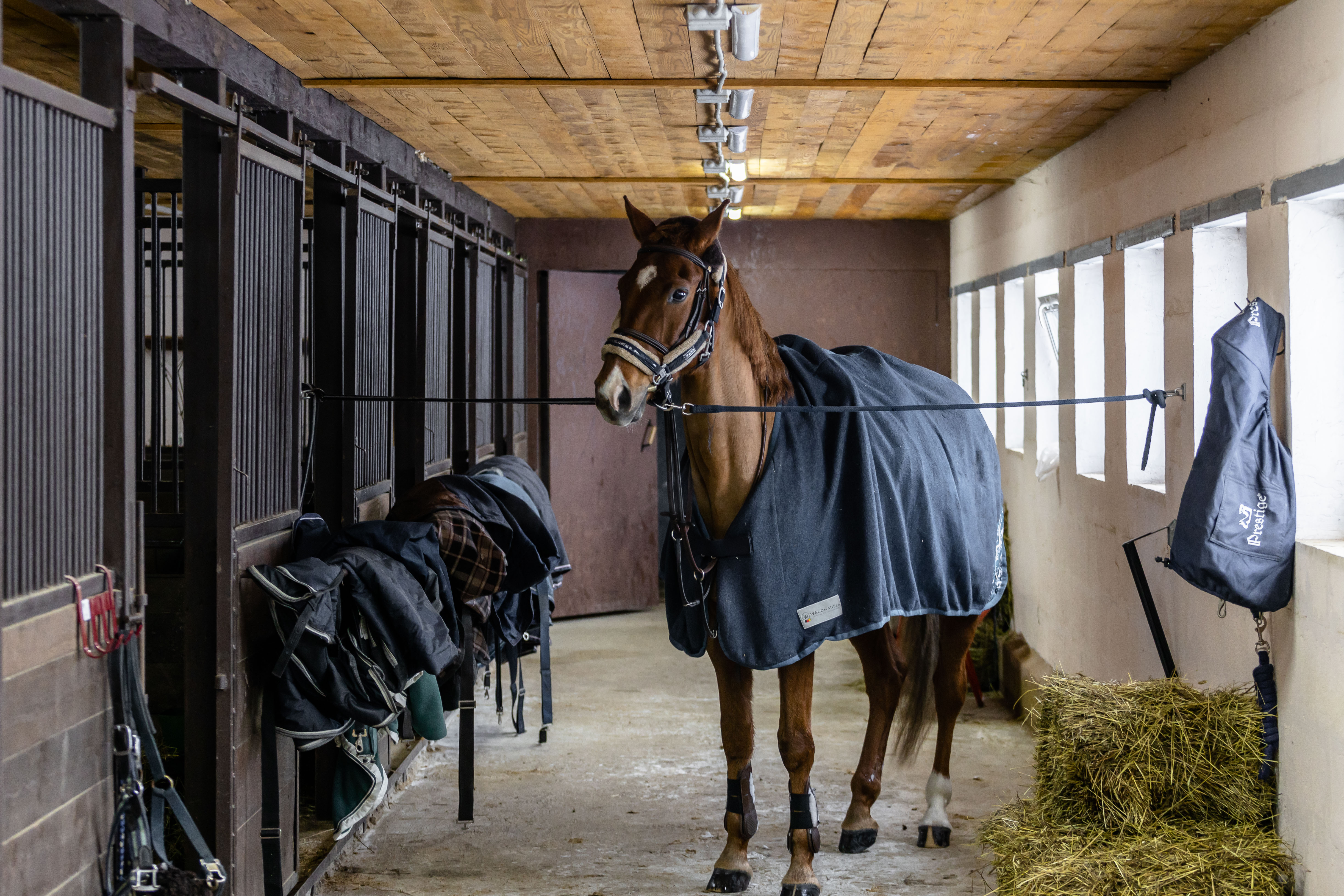 Фото Усадьба Четыре Сезона