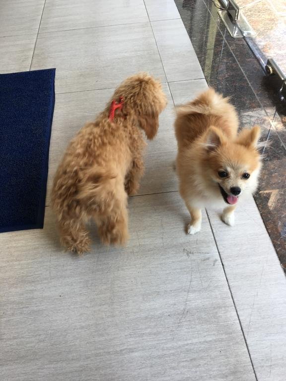 Фото Istay Inn Saigon