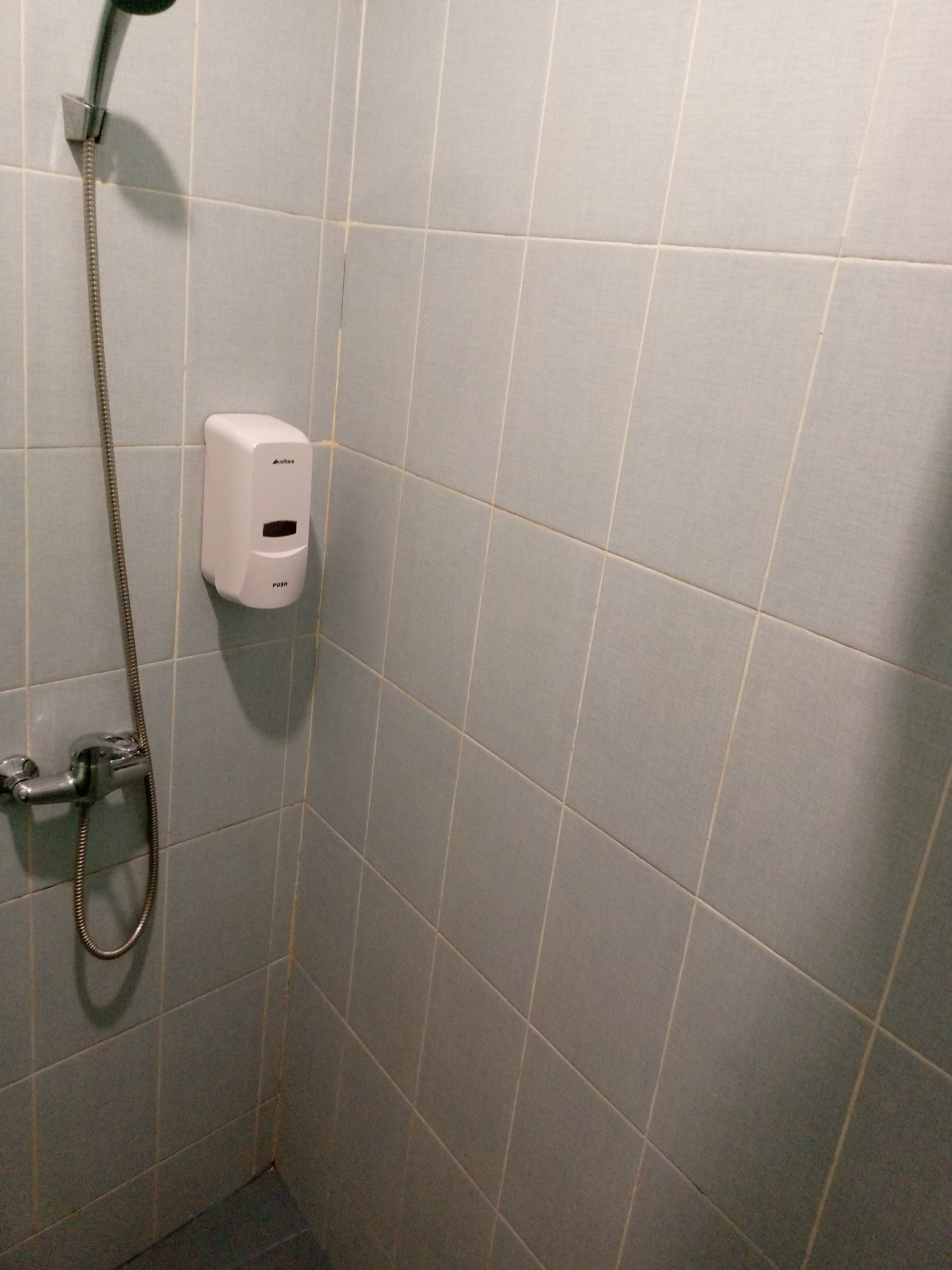 Фото Везендорф