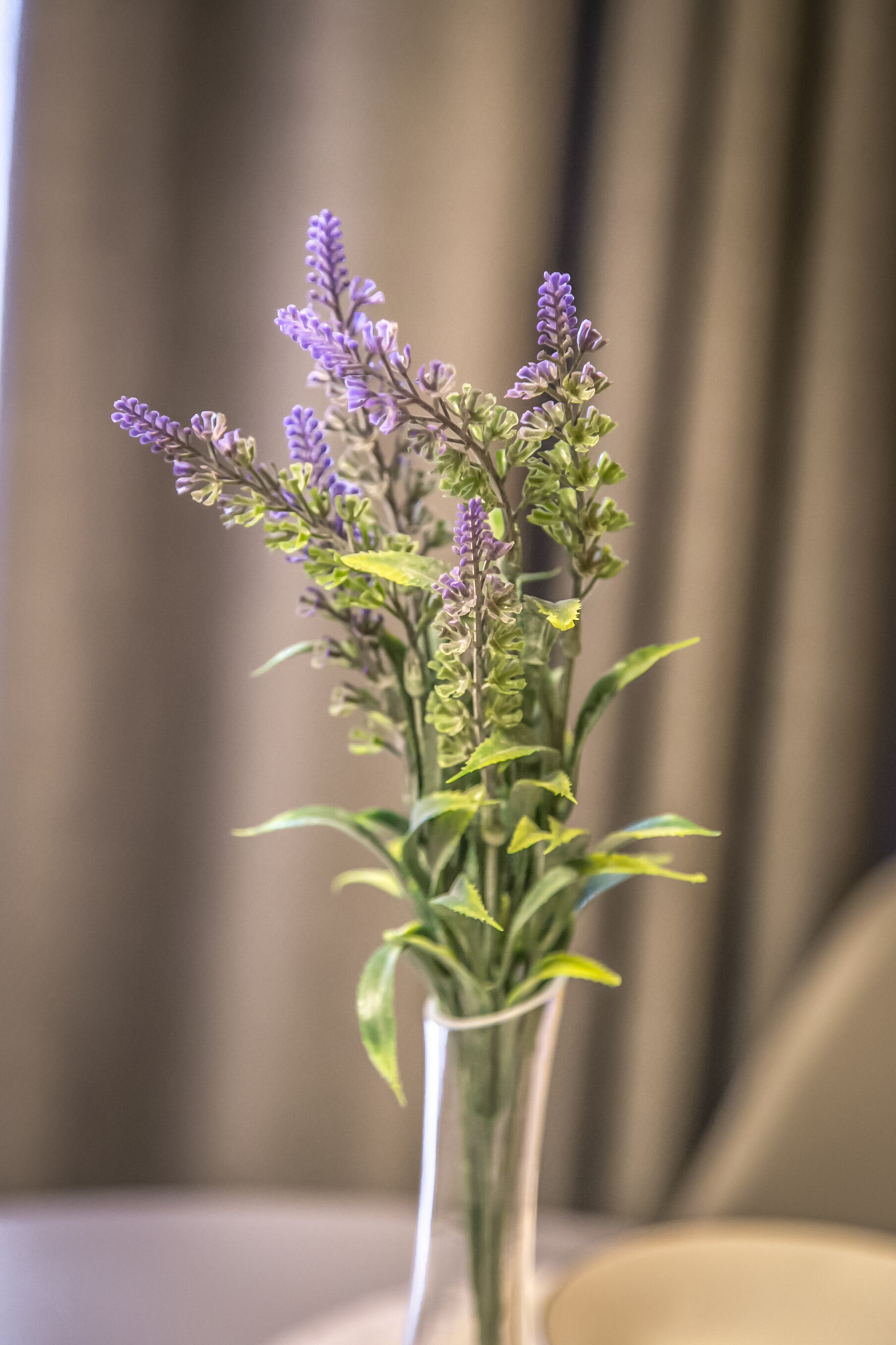 Фото Дикая Лошадь