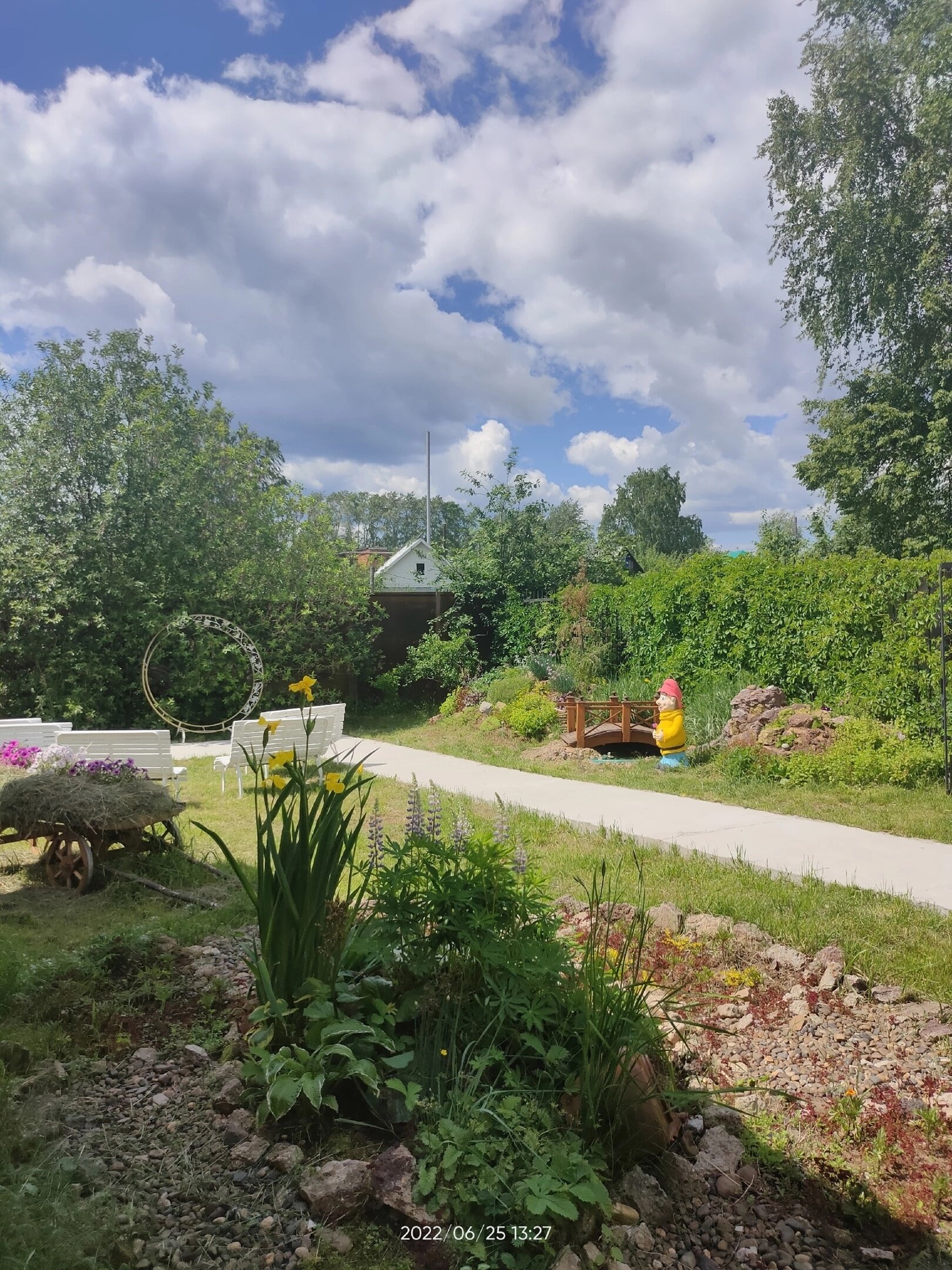 Фото Фазенда