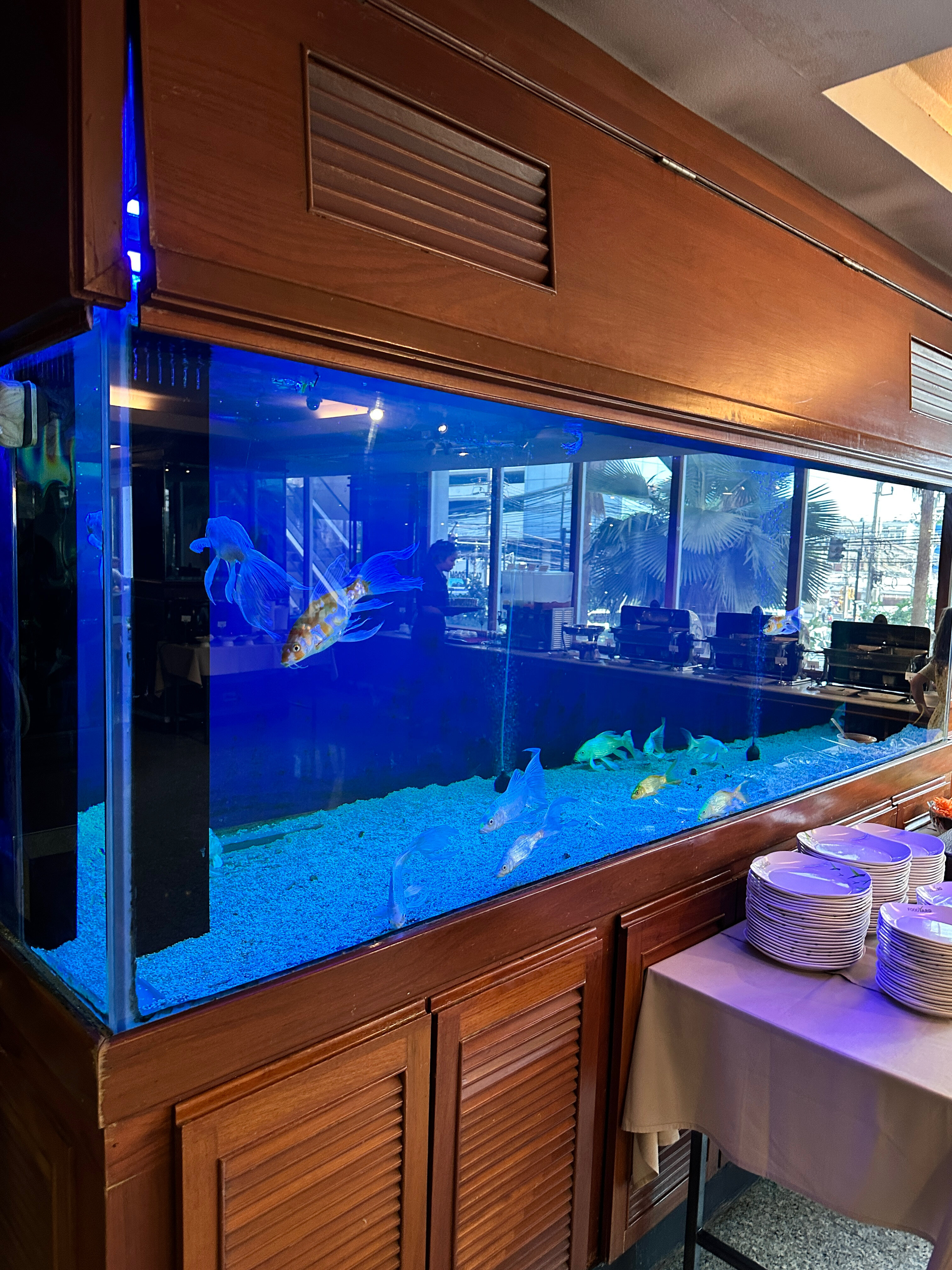 Фото Nasa Bangkok