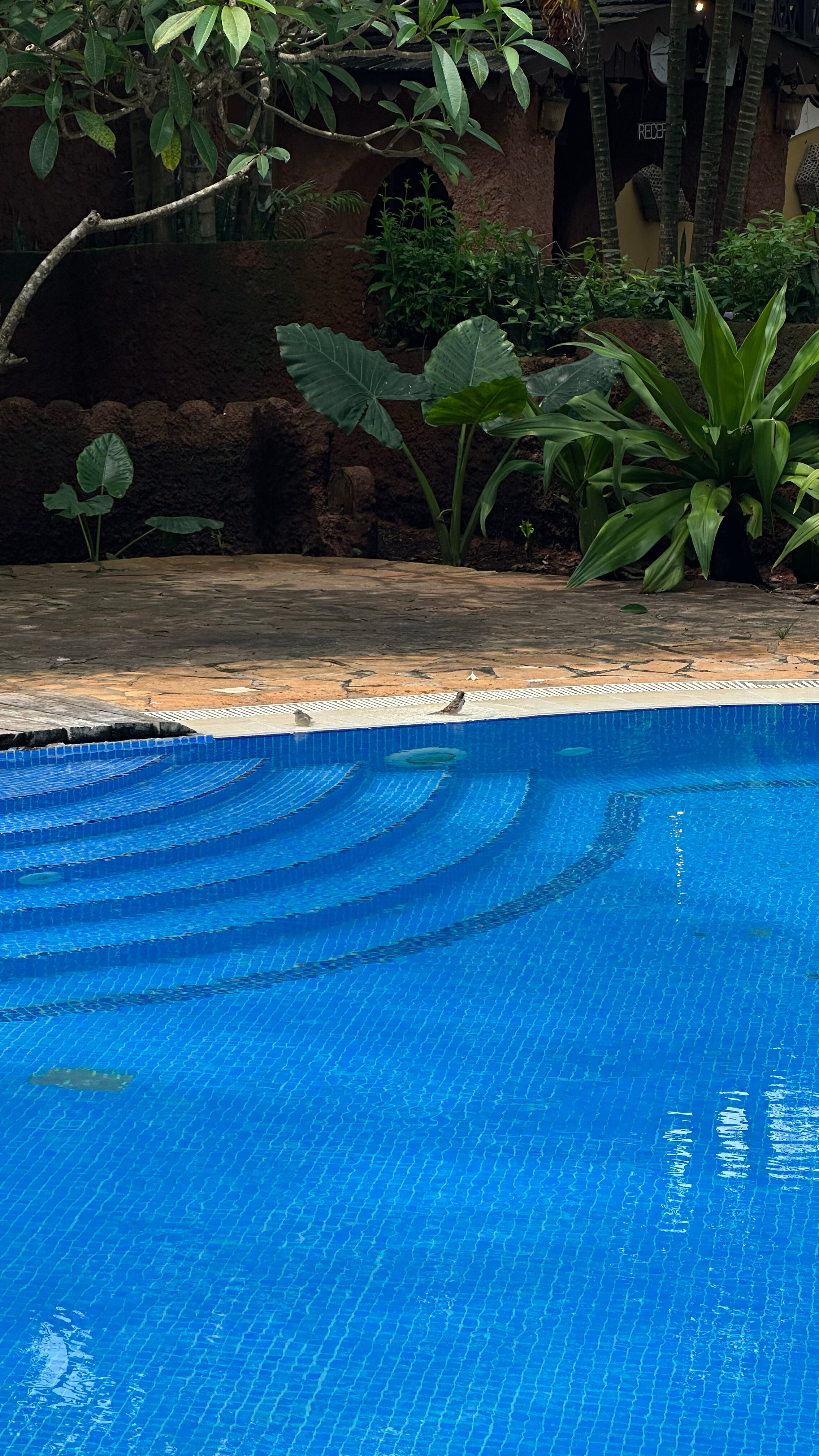 Фото Langi Langi Beach Bungalows
