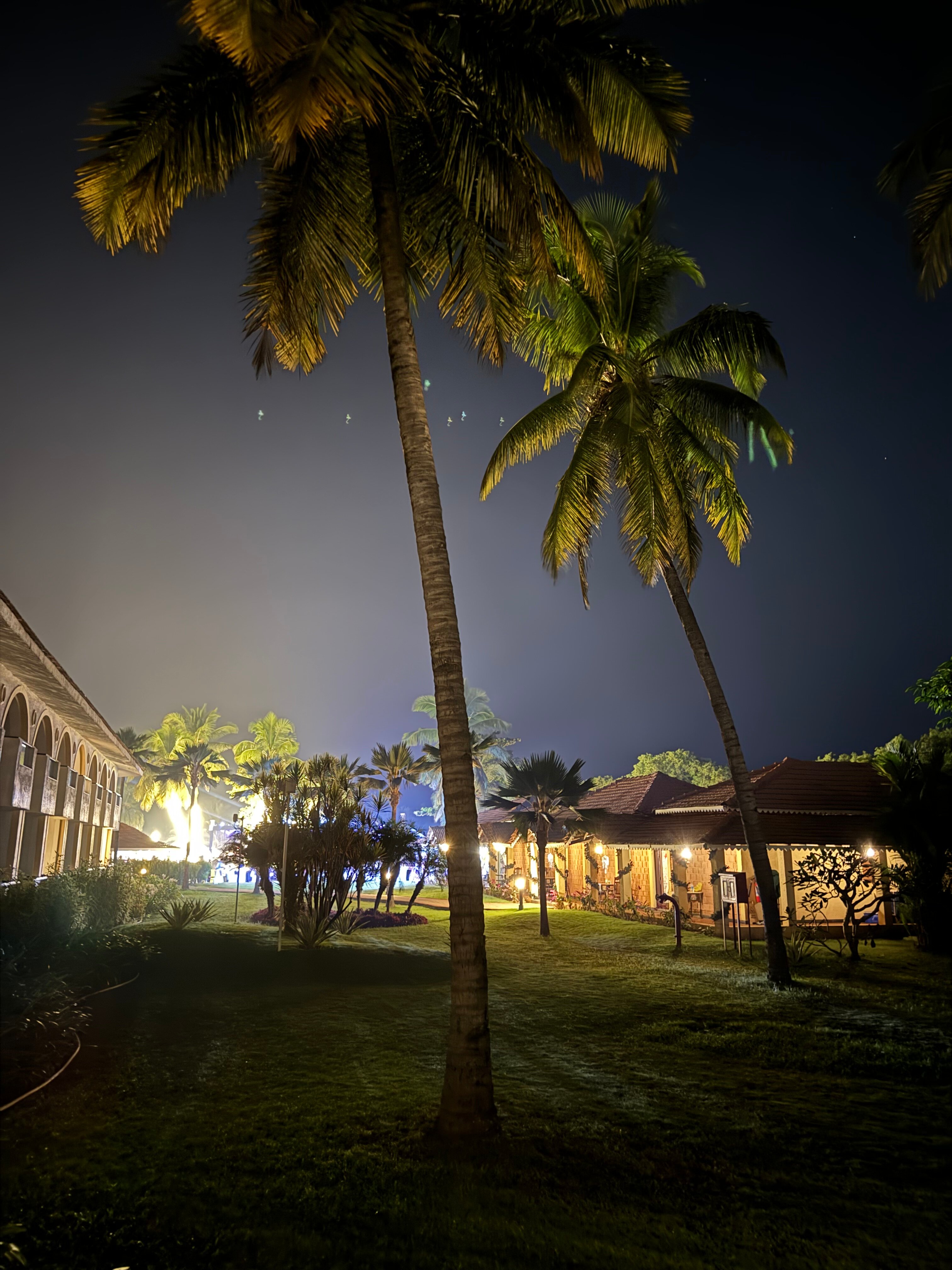 Фото Holiday Inn Resort Goa