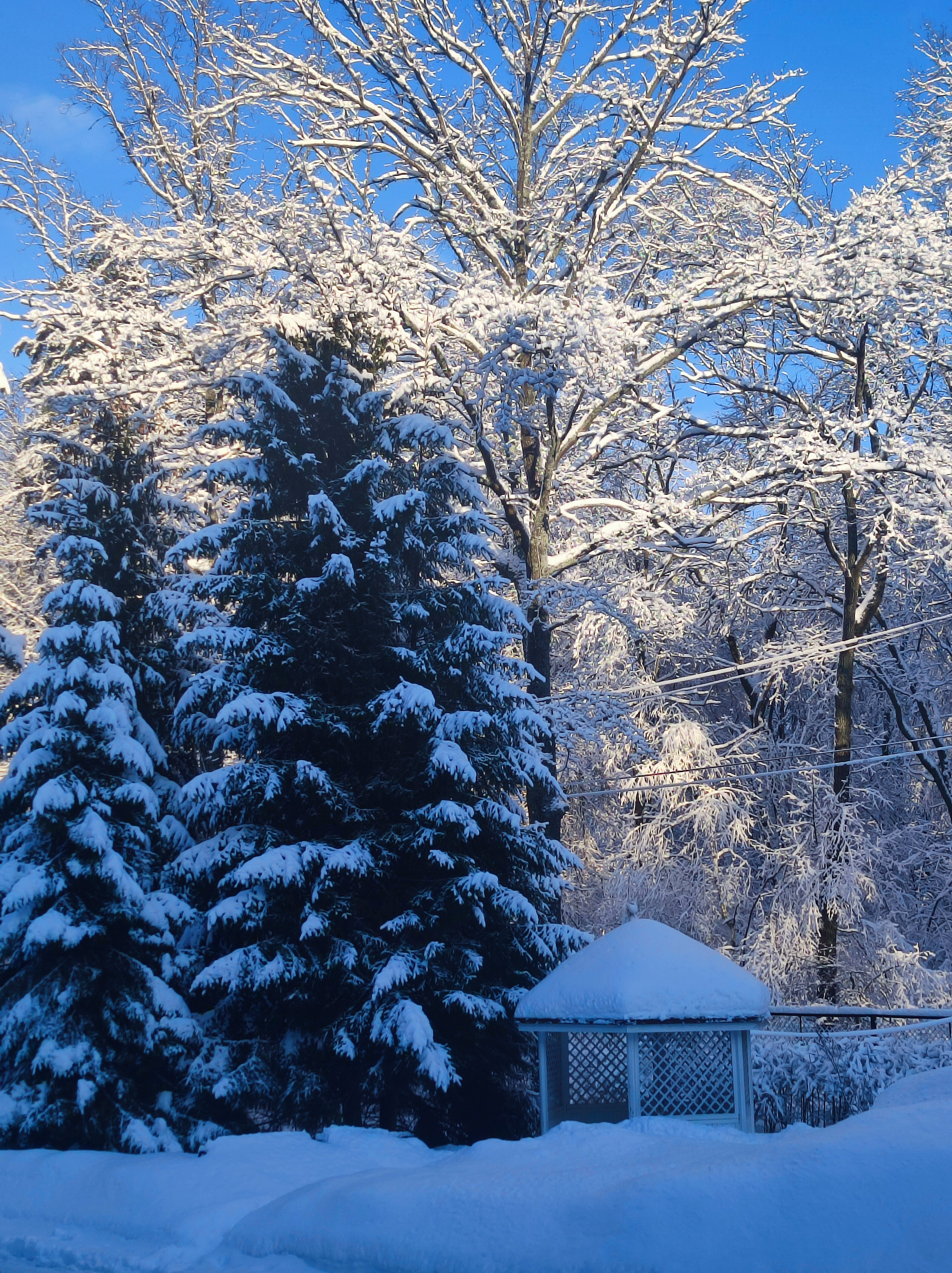 Фото Энергетик