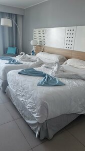 Гостиница Melia Internacional