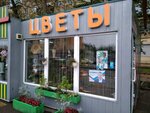 Магазин Цветы (Gazety Krasnoyarskiy Rabochiy Avenue, 81), flower shop