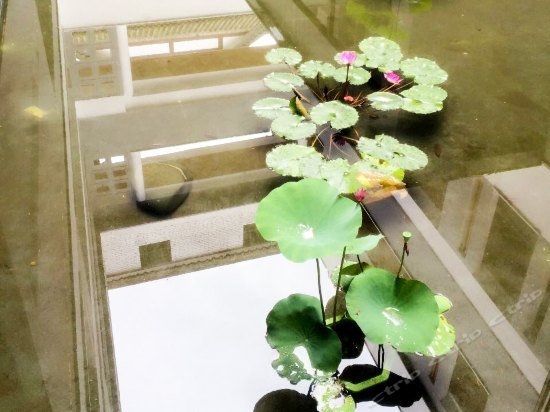 Фото Jingtai Qingchengshan