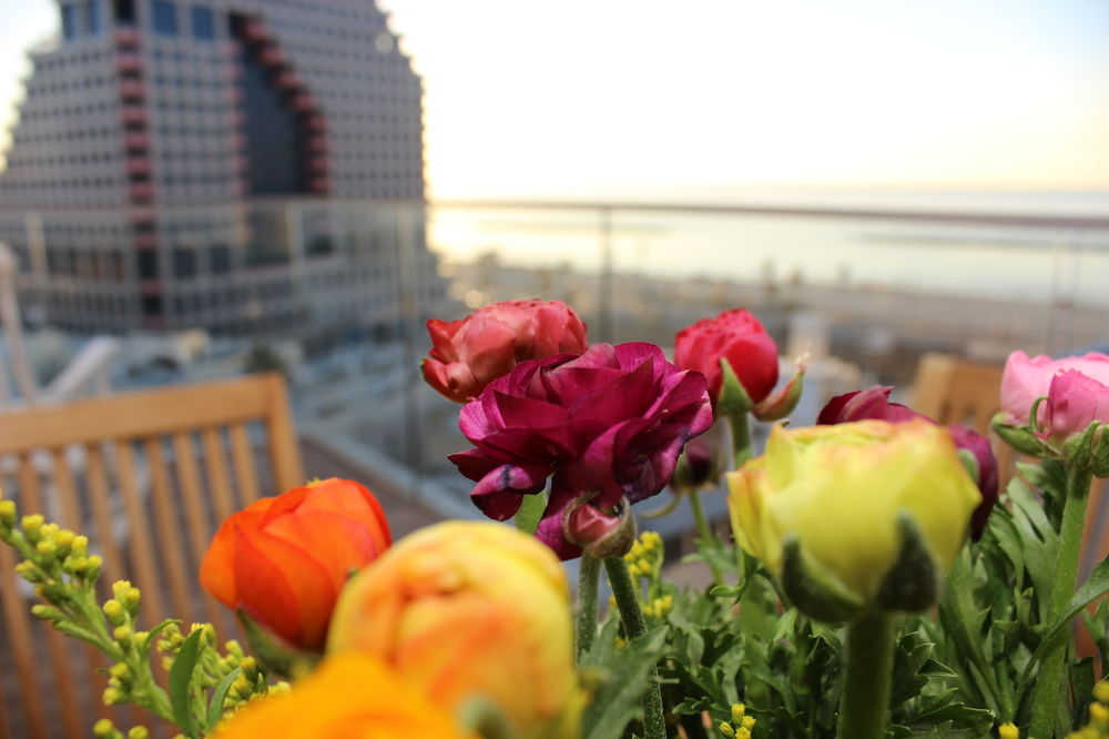 Фото Poli Urban Tel Aviv Hotel