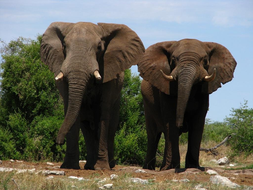 Фото отеля 2