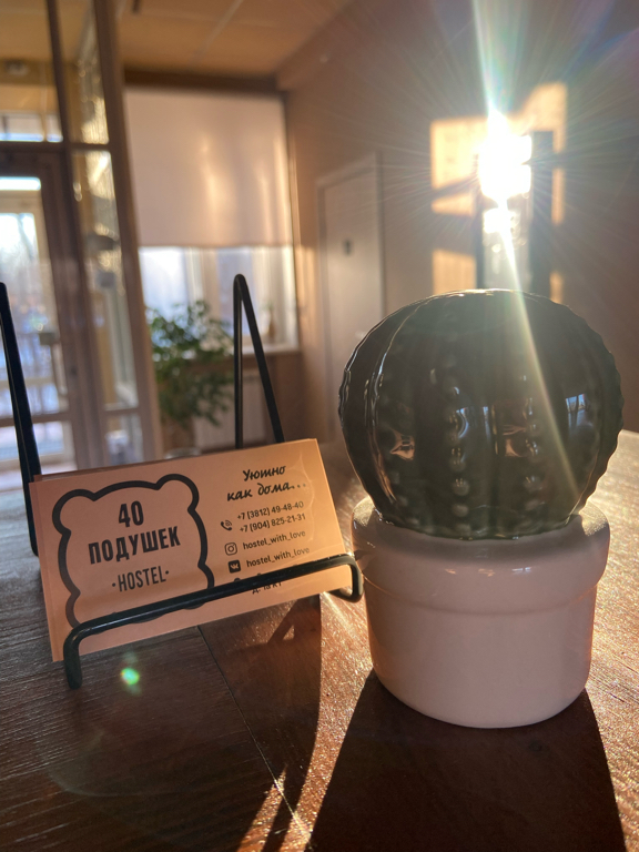 Фото 40 Подушек