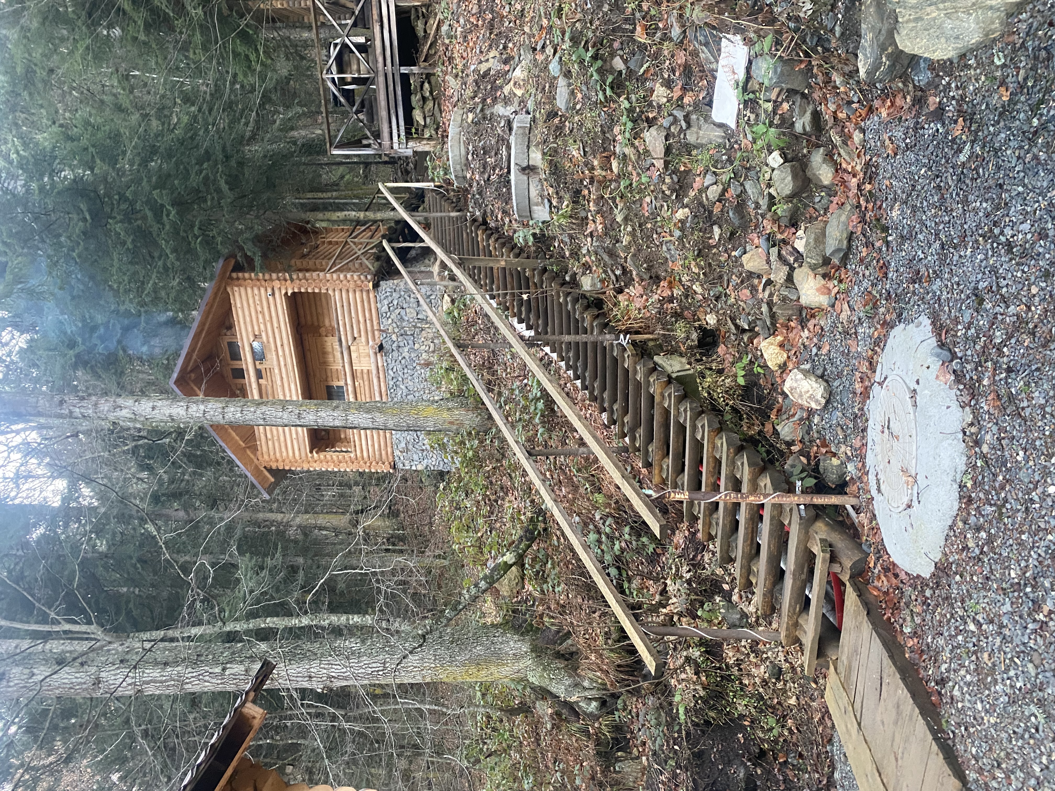 Фото Домик в лесу