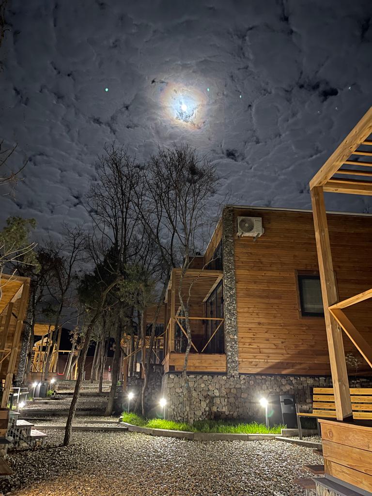 Фото Гарден Оз