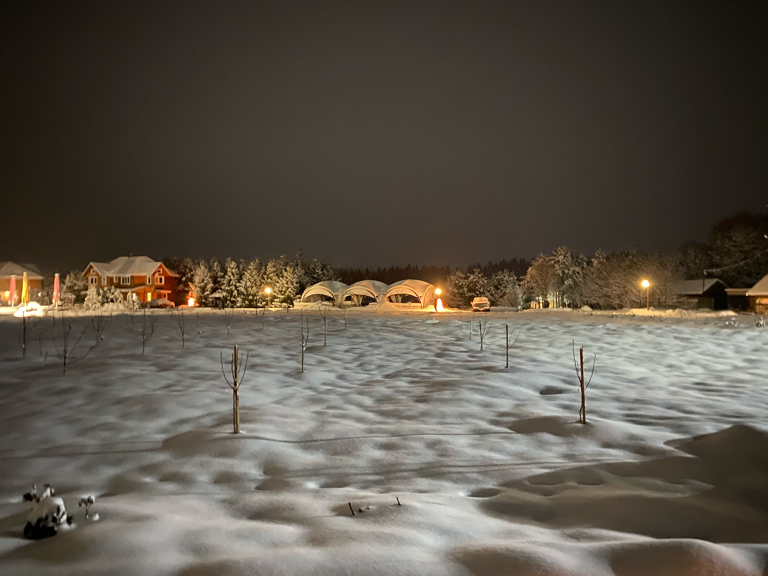 Фото Эль ранчо