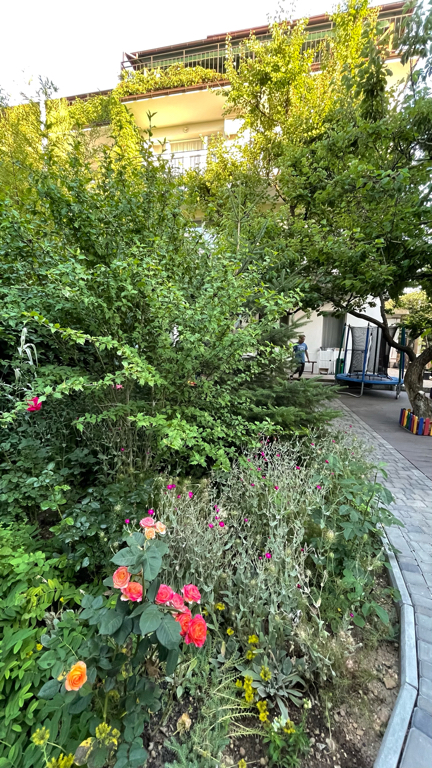 Фото Солнечная Ривьера