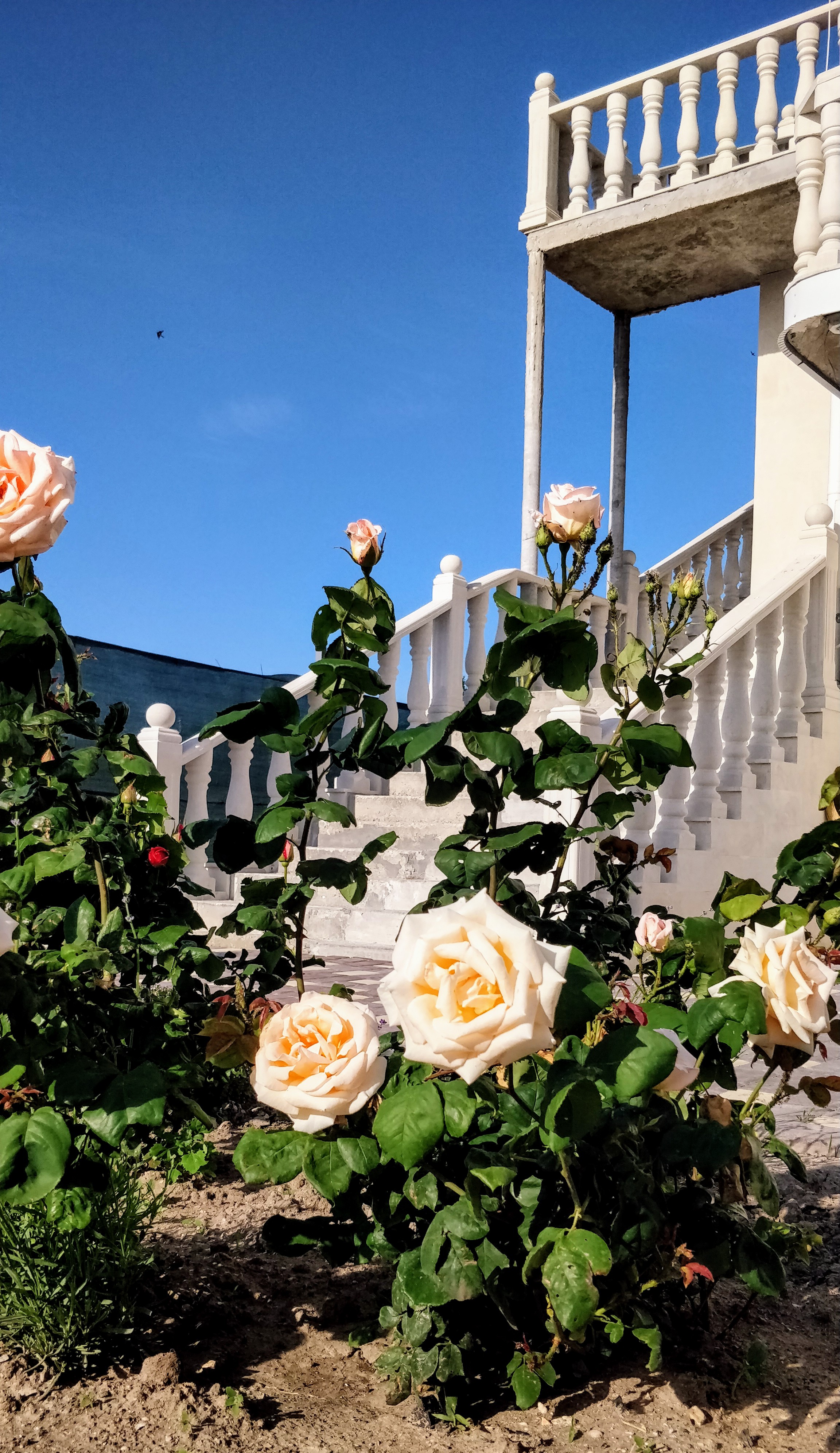 Фото Муссон