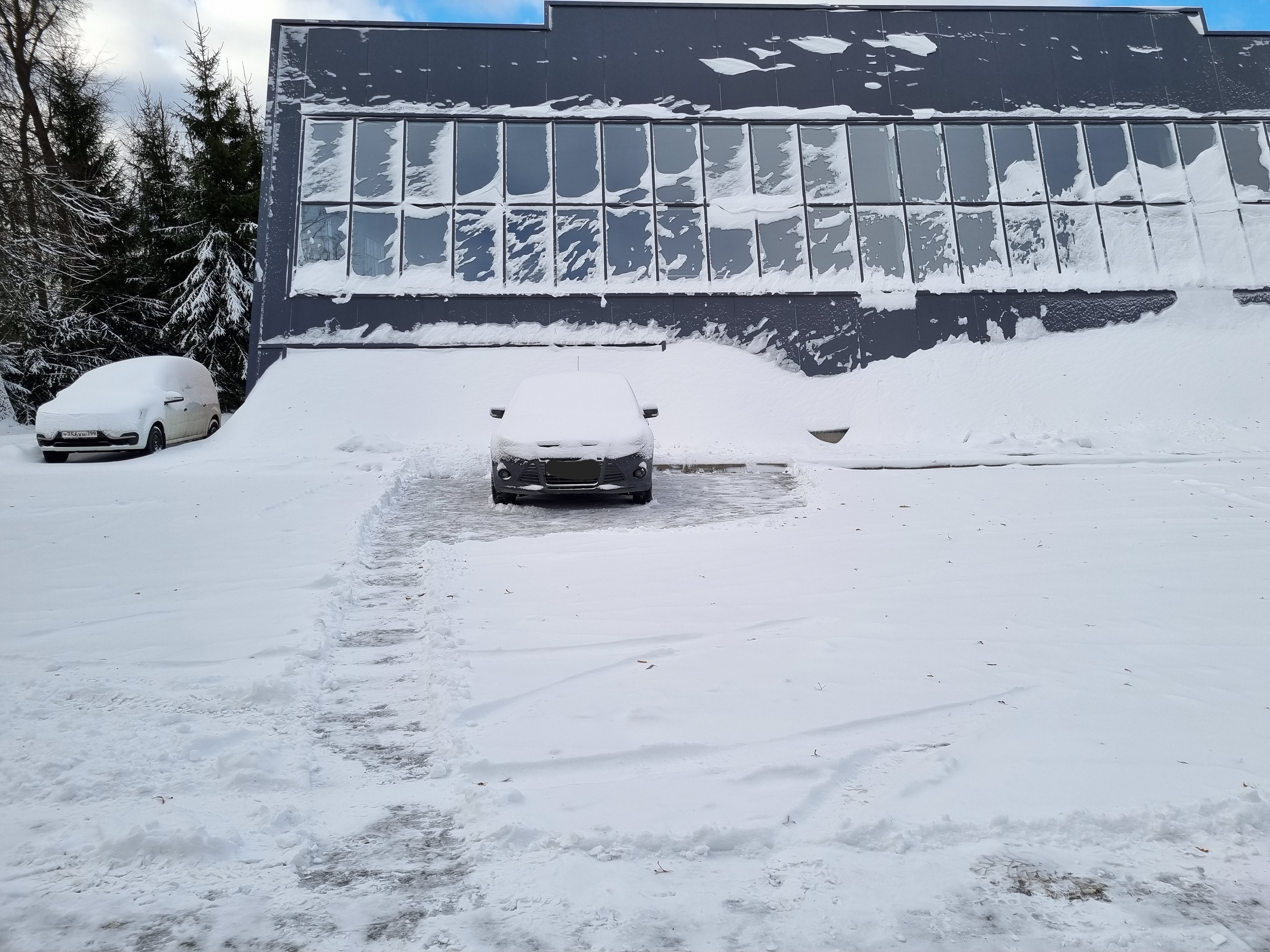 Фото Ясенки