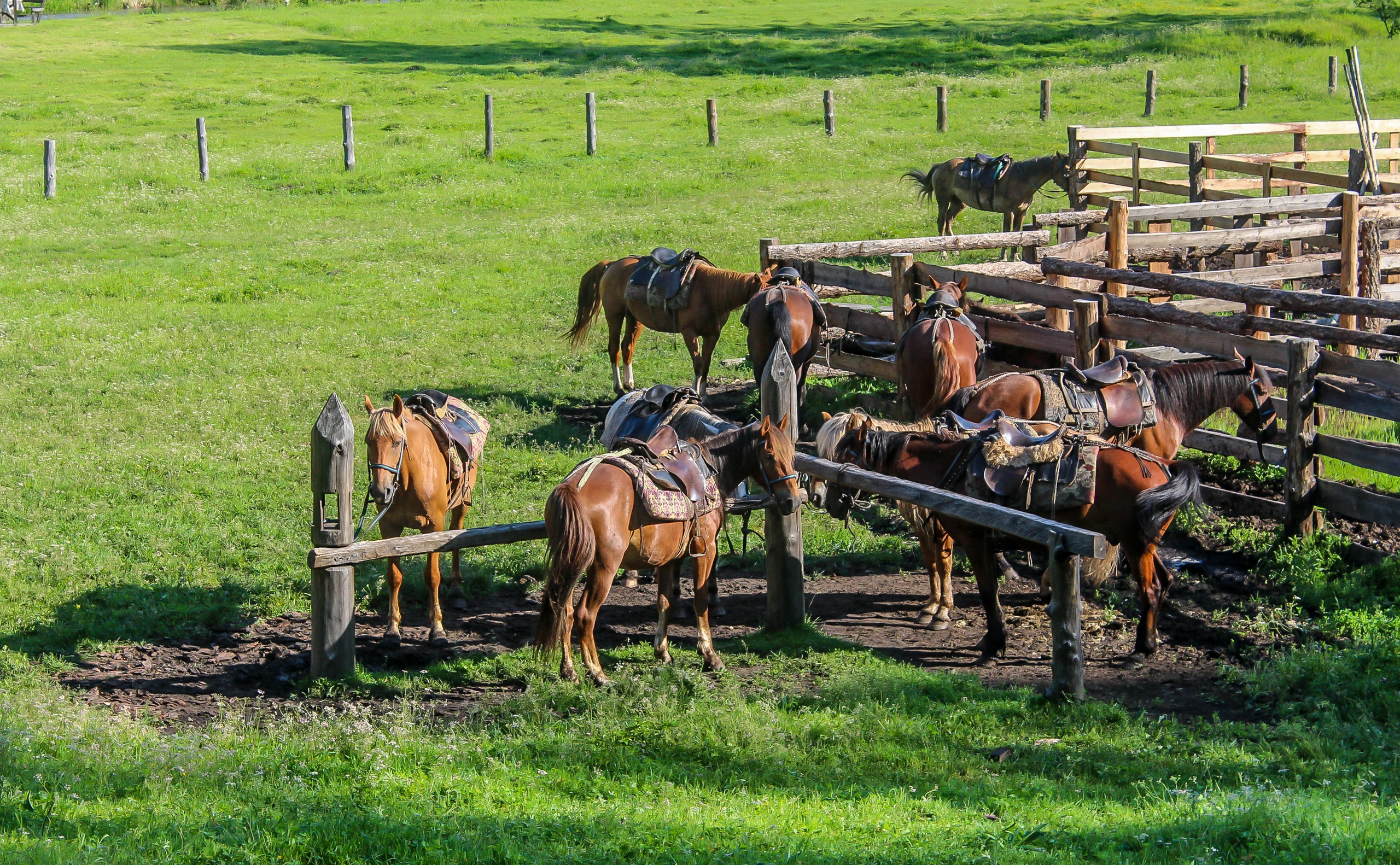 Фото Чедоев привал
