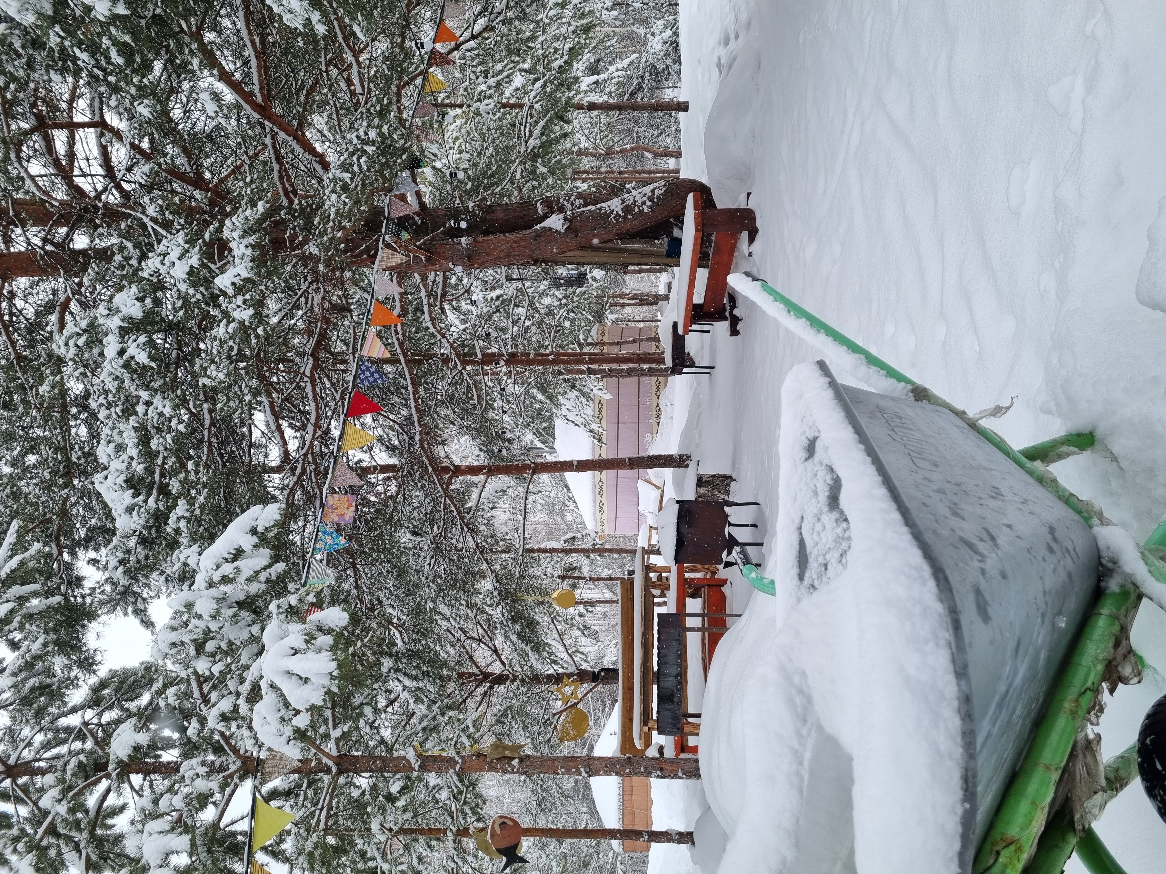 Фото В гостях у Лешего