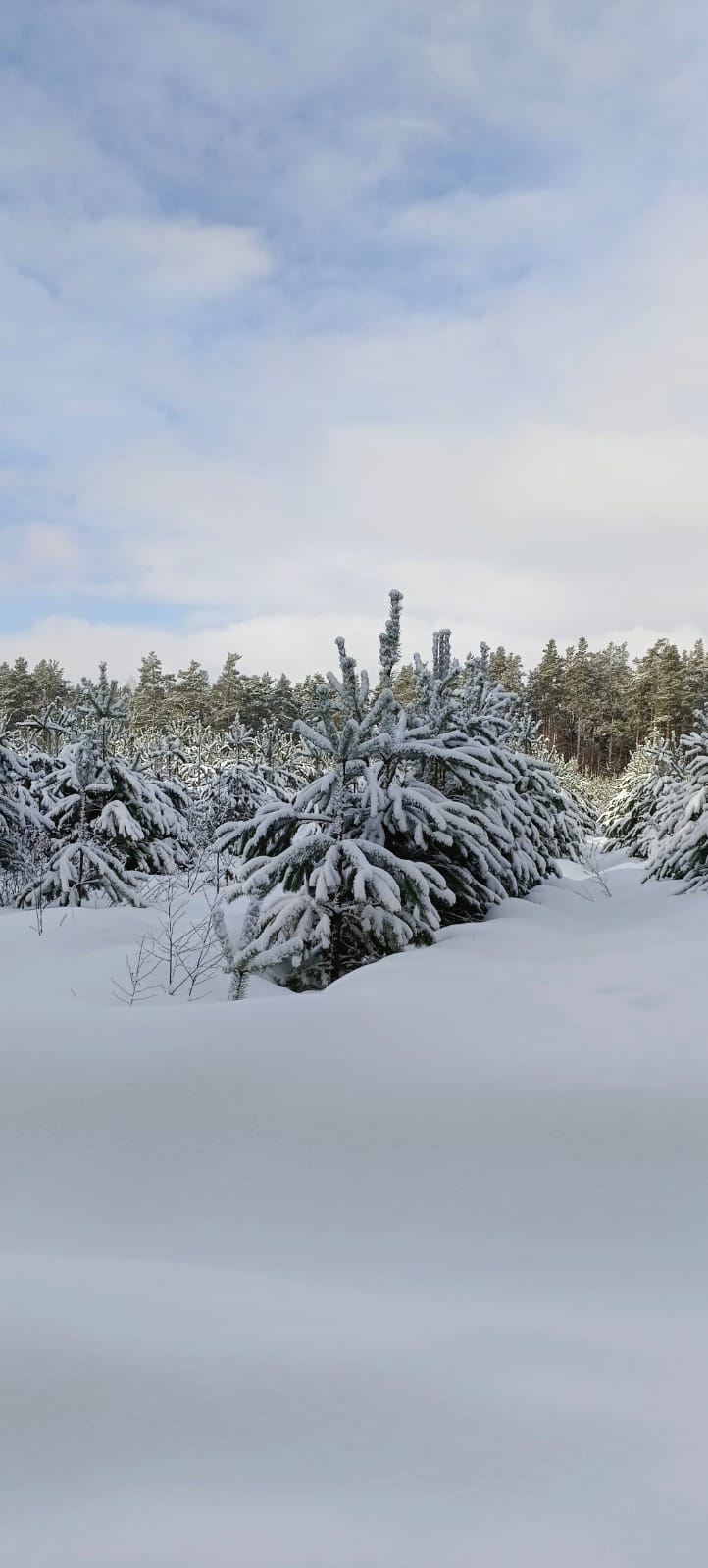Фото Дом у озера