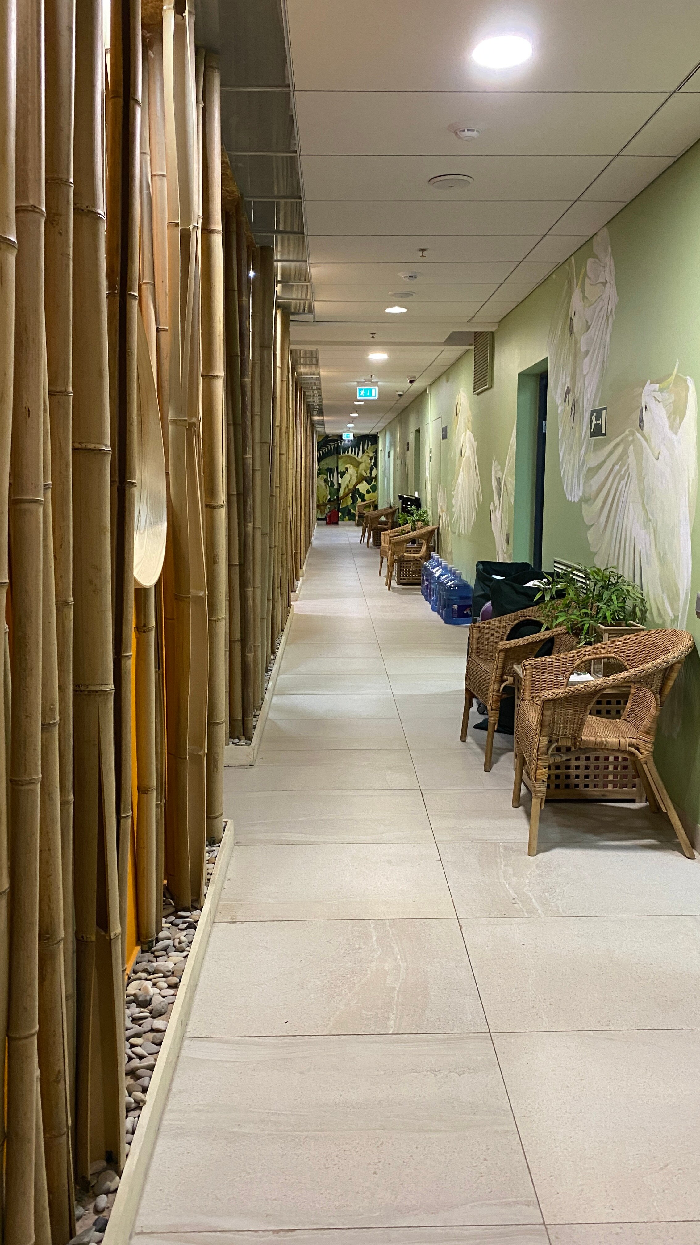 Фото Эколайнер