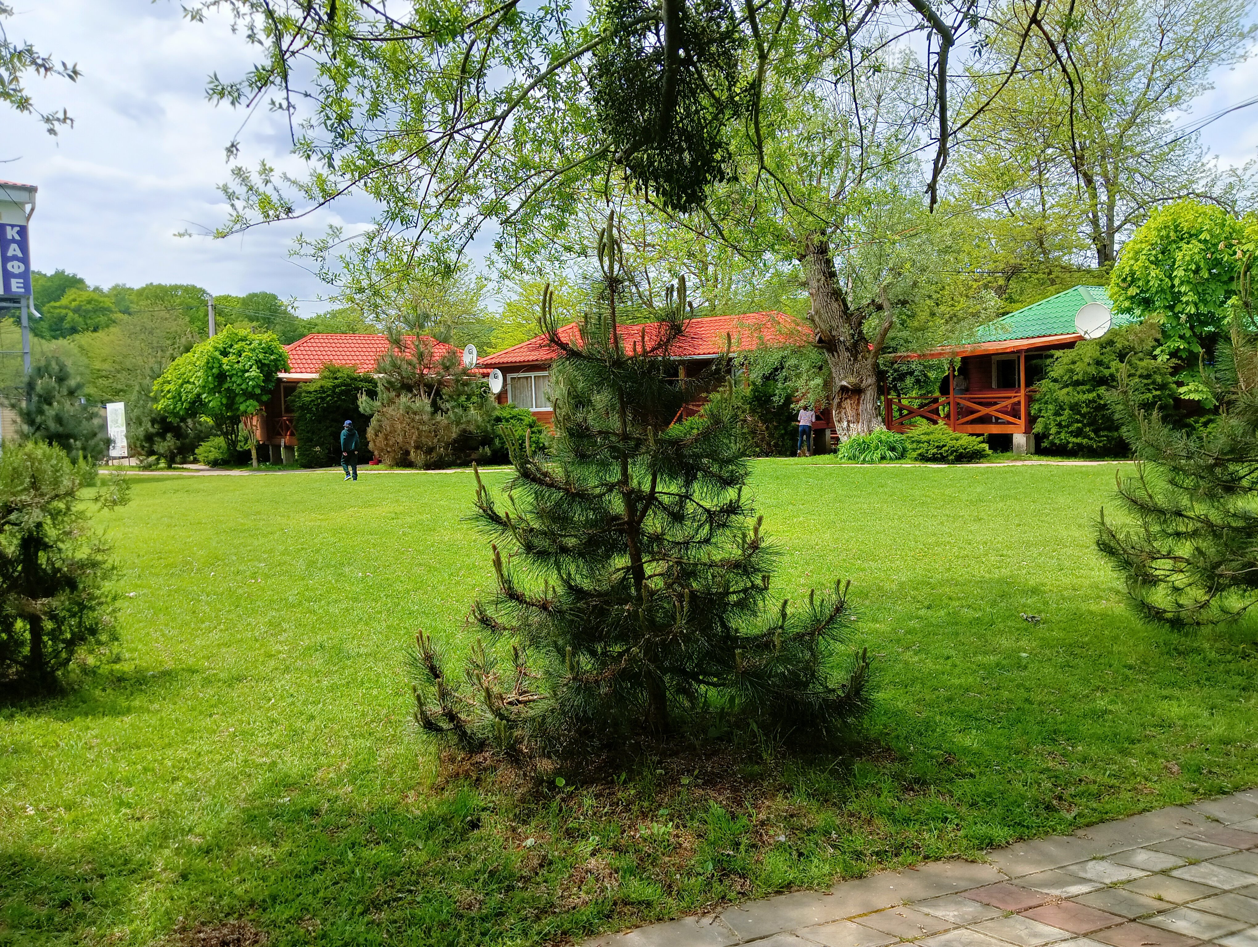 Фото Светлячок