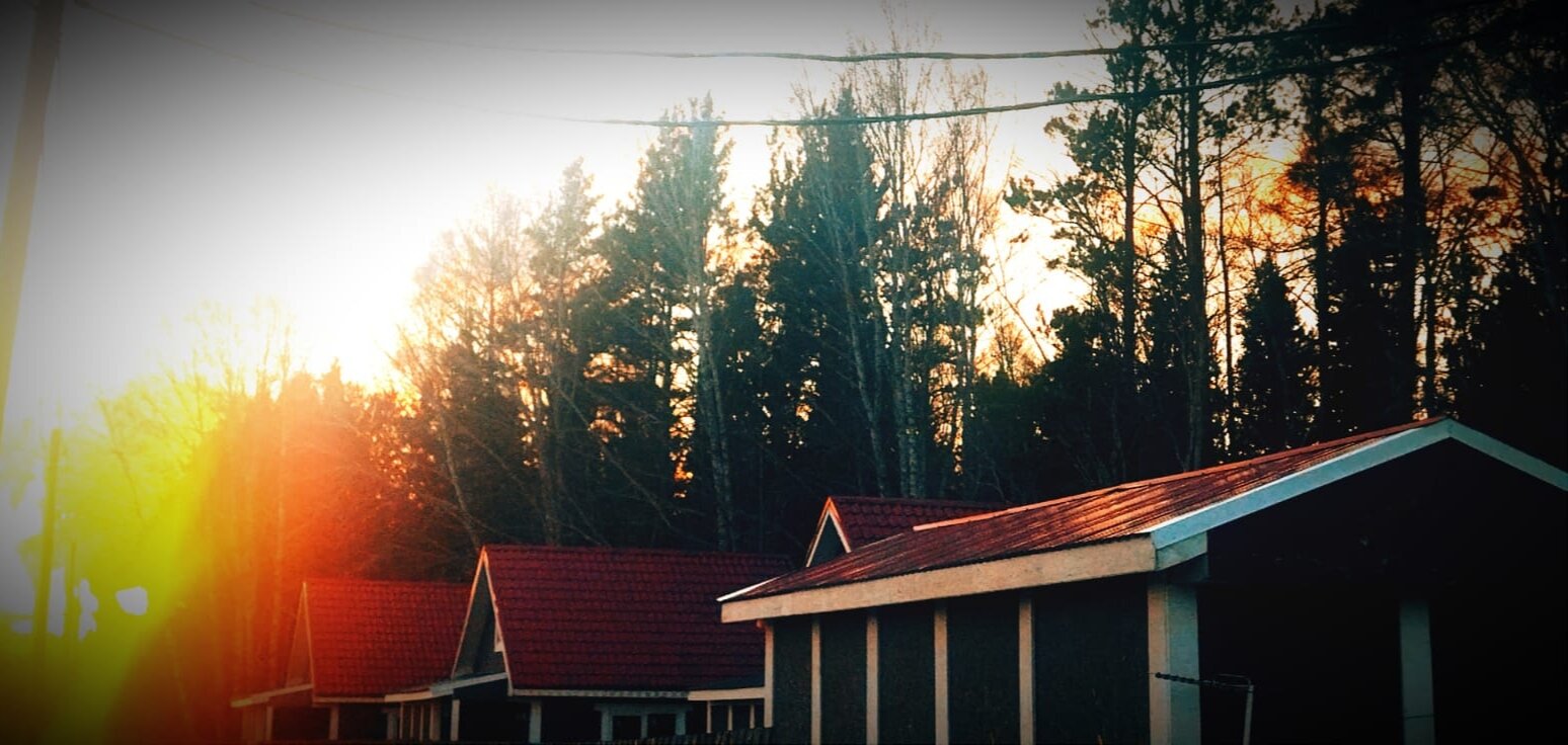 Фото Снегири Парк