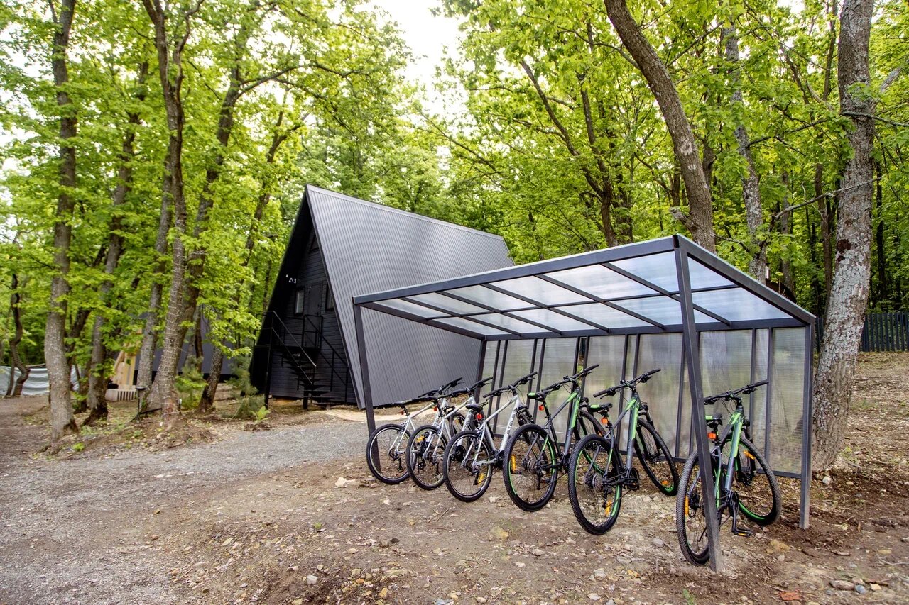 Фото В Лес Афрейм